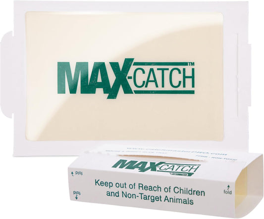 Catchmaster Max-Catch Mouse & Insect Glue Trap 72pk, Mouse Traps Indoor for Home, Sticky Pest Control Adhesive Tray for Catching Bugs, Non Toxic Bulk Pre-Baited Glue Boards