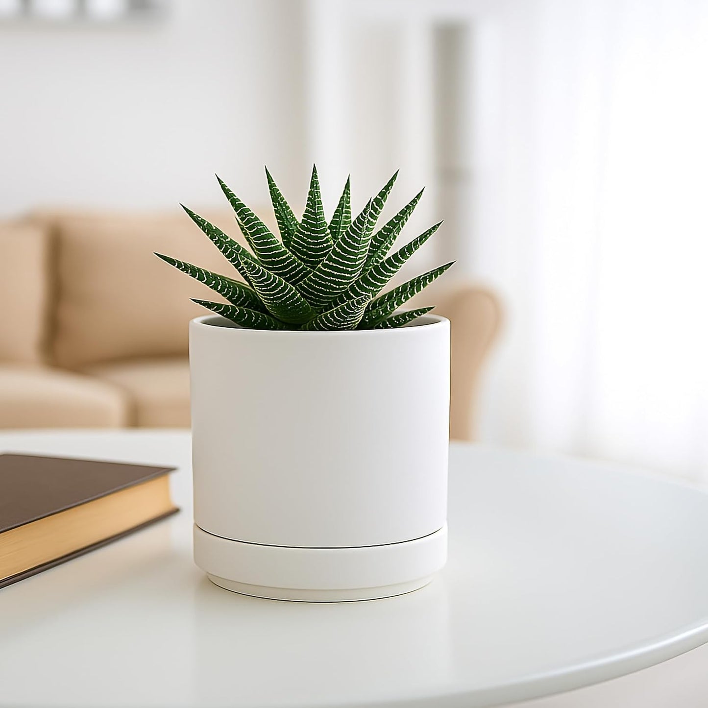 D'vine Dev 4.7 Inch Ceramic Planter Pot with Drainage Hole and Saucer, Indoor Cylinder Round Planter Pot, White, 94-O-B-1