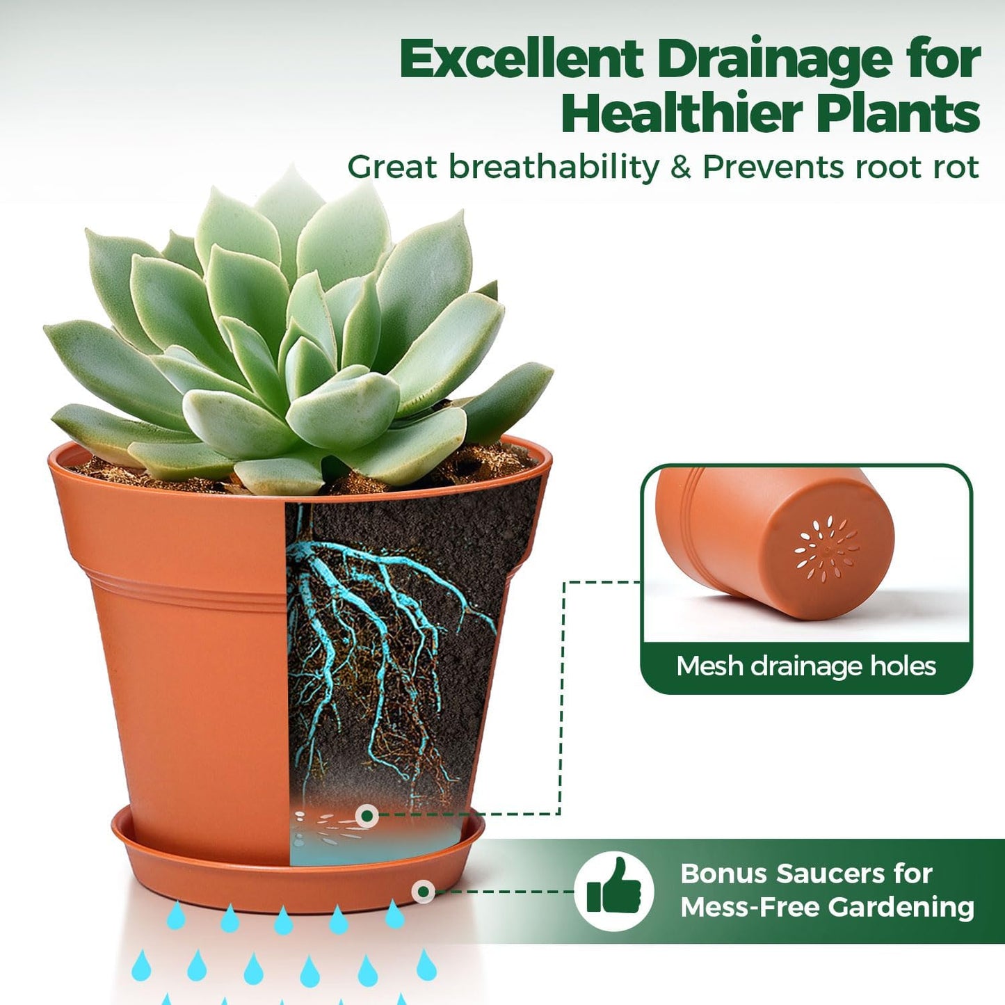 T4U 5 Inch Plant Pot 8-Pack, Plastic Pots with Drainage Hole and Saucer, Decorative Flower Pots Bulk for African Violet, Snake Plant, Succulent and All House Plants Indoor (8pcs 5" Pots)