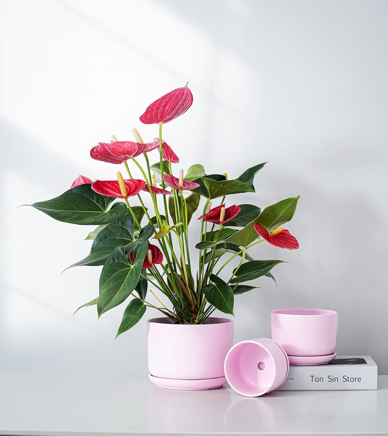 Ton Sin Plant Pots, 4.1+5.1+6.5 inch, Set of 3, Ceramic Planters with Drainage Hole and Saucer, Indoor Flower Pot with Hole Mesh Pad, Gifts for Mom(Matte Pink)