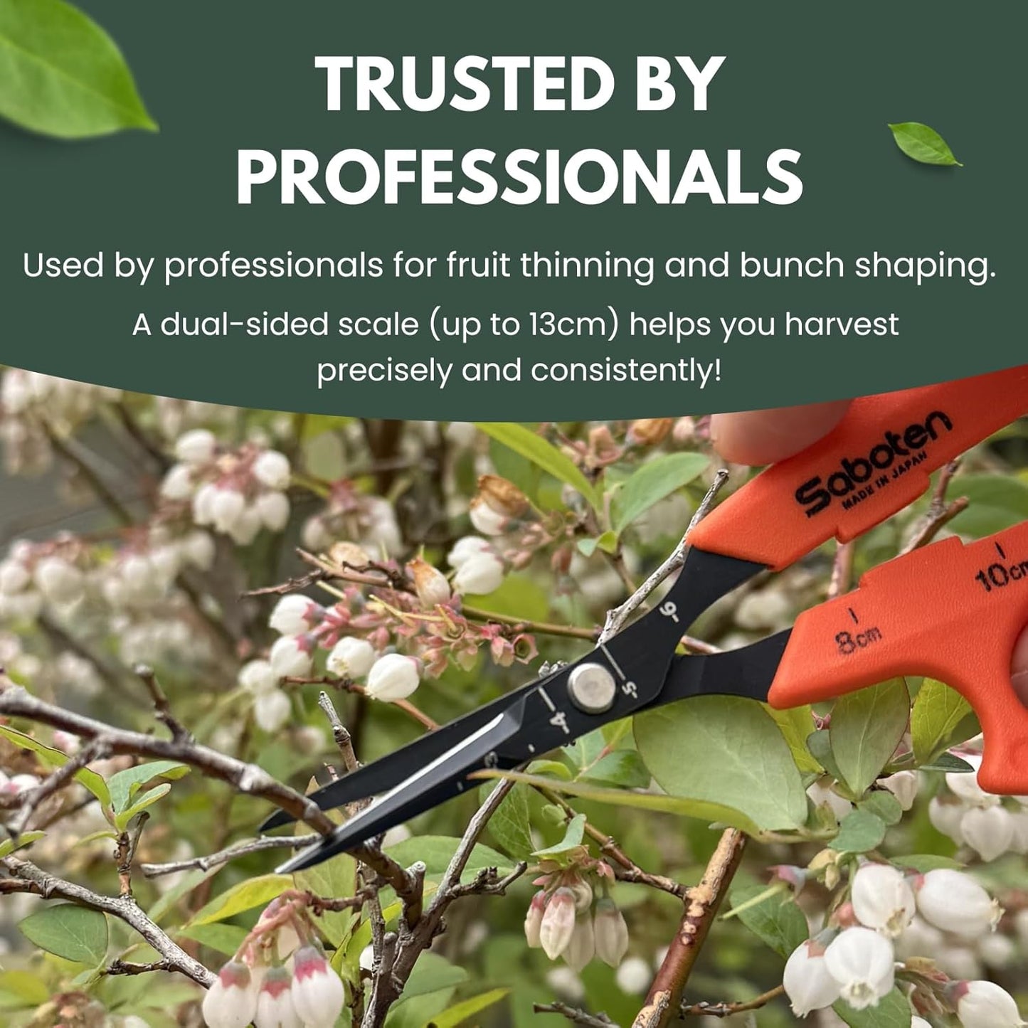 Saboten Japan 6.3" Automatic Japanese Harvesting Shears - Fine-Tipped Angled Blade, Magnetic Springless Action, Stainless Steel with Fluorine Coating, Ergonomic Grip - forest Originals, Made in Japan