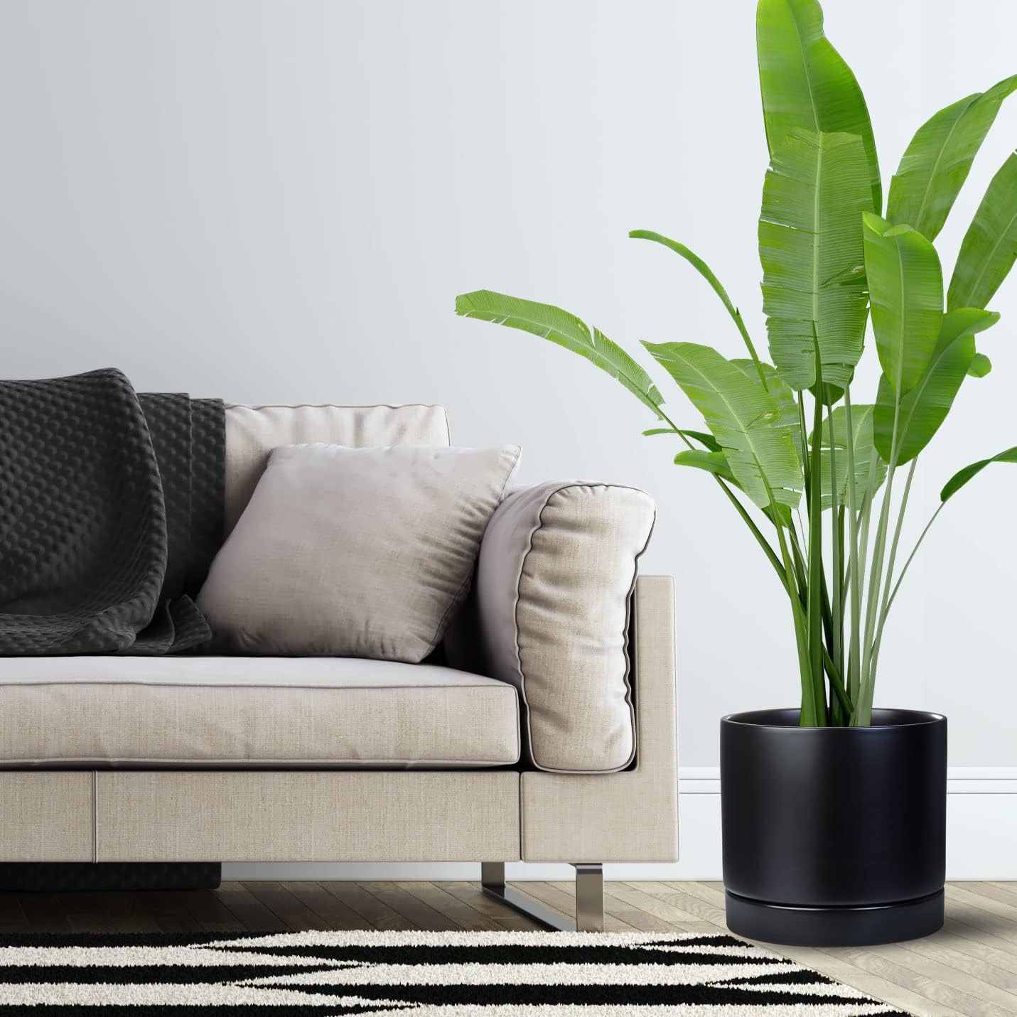 Aveyas 10 inch Ceramic Plant Pot with Drainage Hole and Saucer - Suitable for Indoor and Outdoor Use, Modern Planters for House Garden Flower Tree Snake Monstera Plants (10", Matte Black)