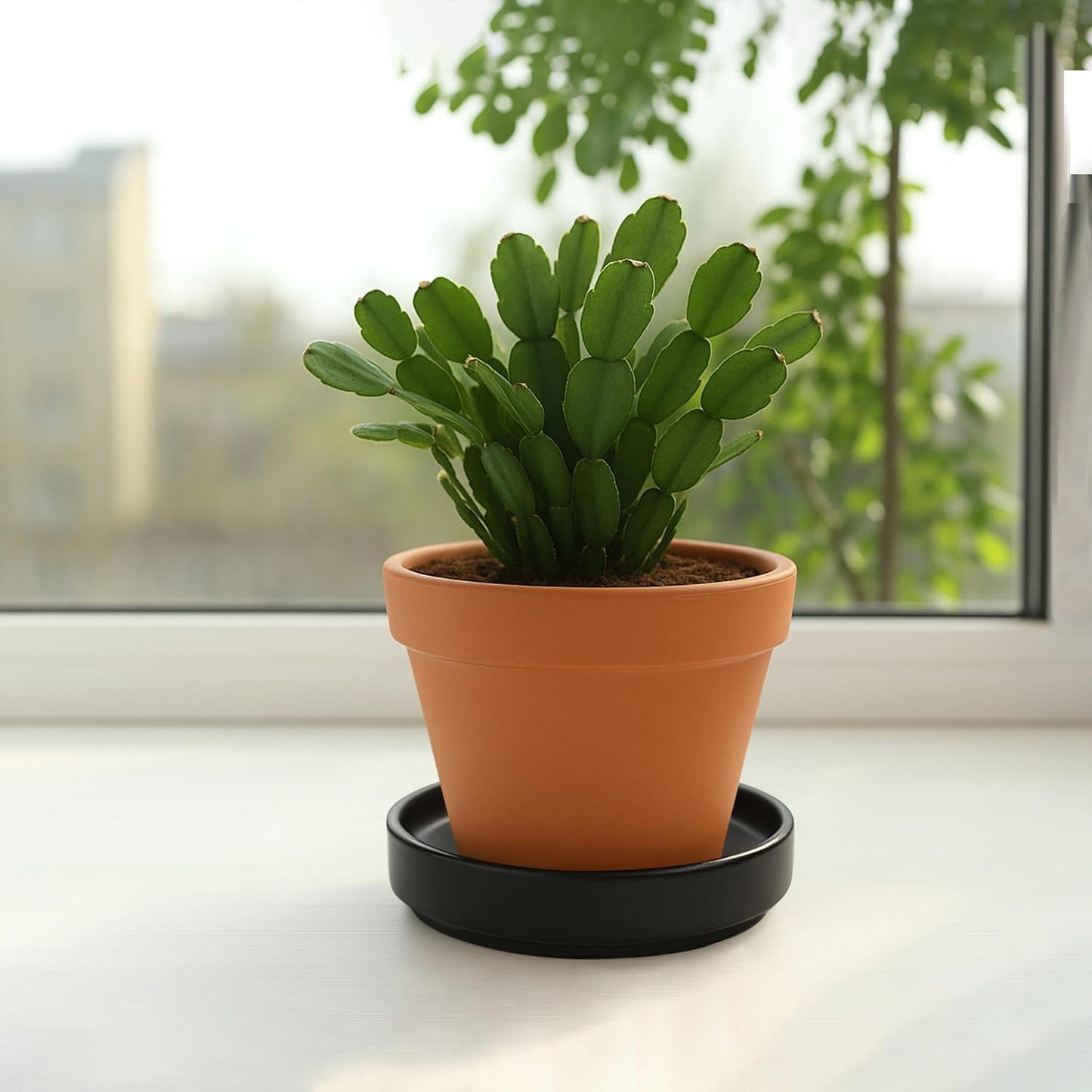 D'vine Dev Modern Round 3.7 Inch Ceramic Plant Pot Saucer, Planter Pot Drainage Tray for Indoor Plants, Set of 4, Matte Black, 97-T-B-11