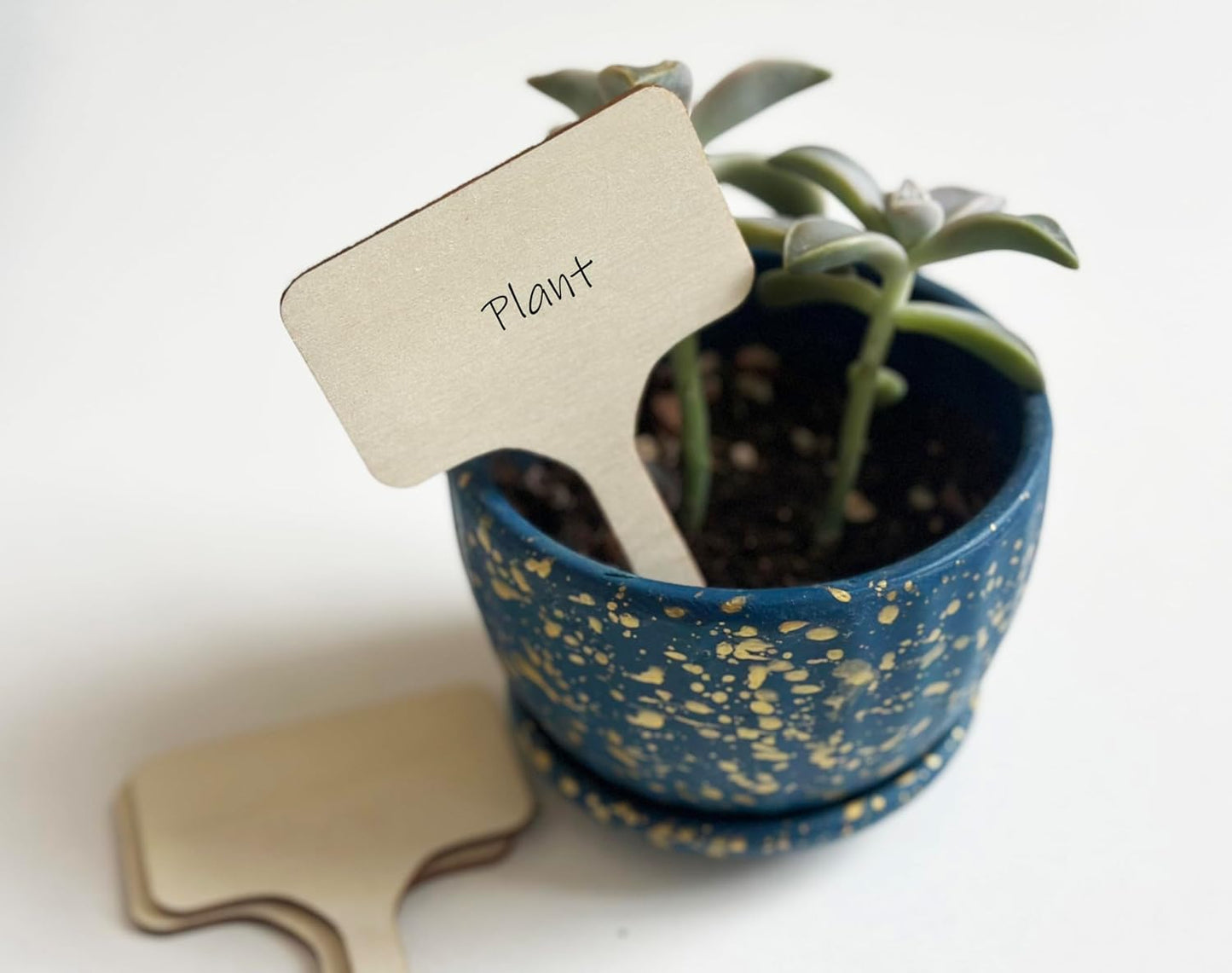 100 Pcs Wood Plant Labels, Natural Wooden Plant Marker Garden Sign Tags, T-Type Garden Markers for Succulents, Herbs, Seedlings, Potted, Flowers, Vegetables (T-Type)