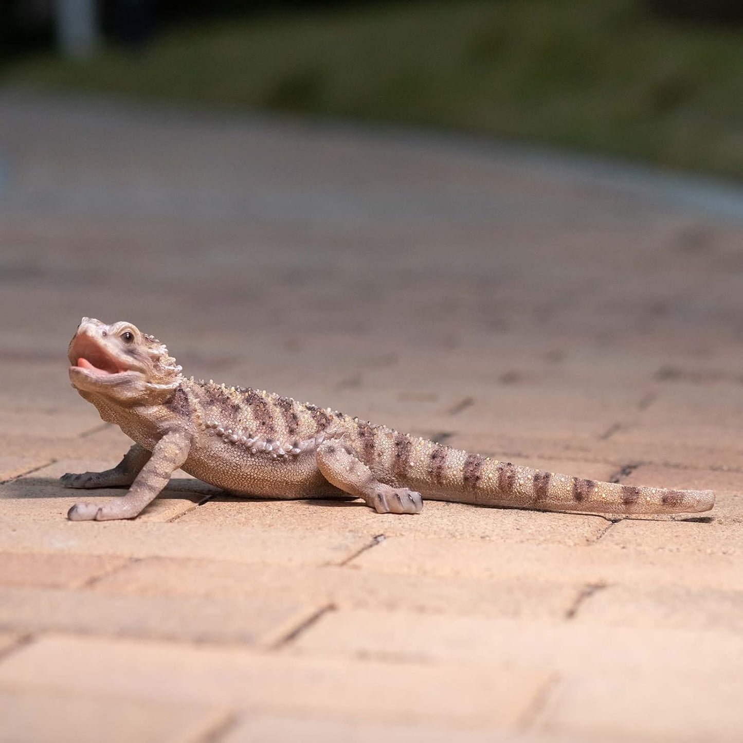 Garden Lizard Statue - Resin Sculpture of Reptiles, Suitable for Outdoor and Courtyard Decoration Lizard Decorations for Gardens and Pools are Gifts for Nature Enthusiasts and homeowners