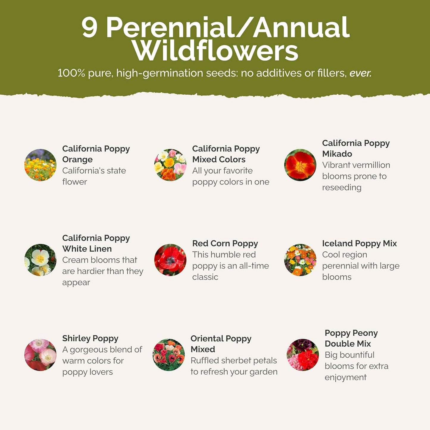 Eden Brothers Poppy Power Flower Mixed Seeds for Planting, 1 lb, 480,000+ Seeds with Red Corn, Iceland, California Poppy | Attracts Pollinators, Plant in Spring or Fall, Zones 3, 4, 5, 6, 7, 8, 9, 10