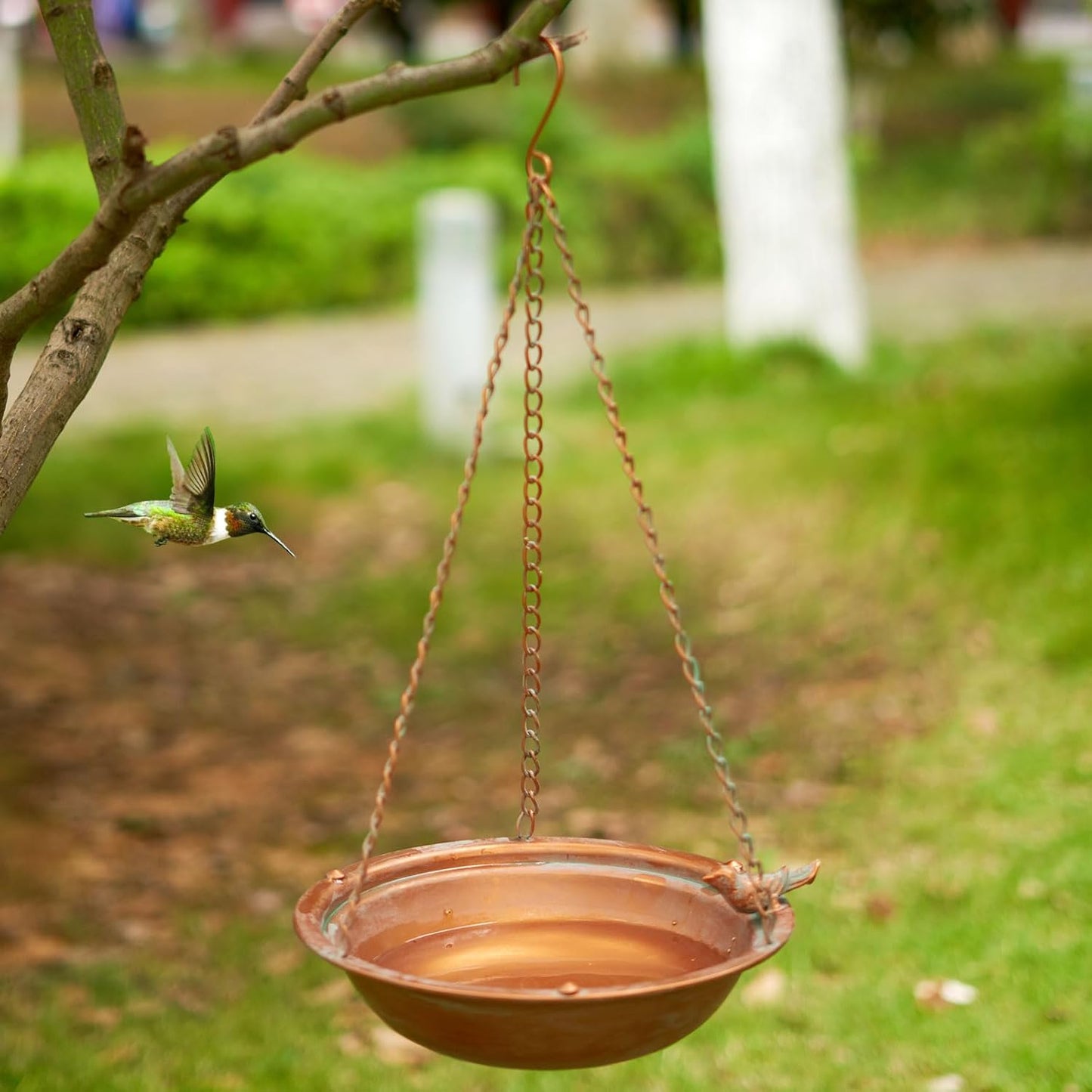 Metal Hanging Bird Baths for Outdoors,Outdoor Bird Feeder,Backyard, Patio Garden Yard Decoration (Champagne)