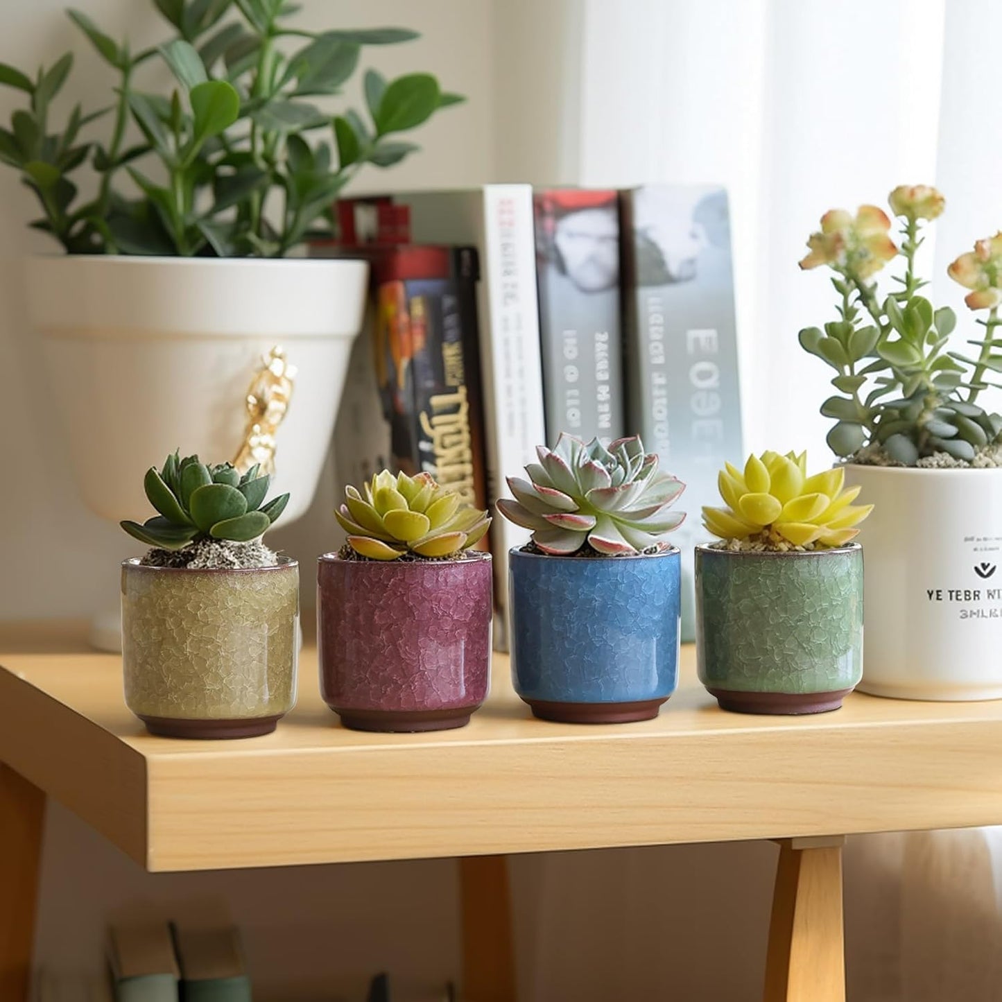 T4U 2.5 Inch Small Ceramic Succulent Planter Pot with Drainage Hole Set of 6, Ice Crack Glaze Plant Container for Cactus, Succulent Plant Gifts for Women Mom Aunt Home Office Decor