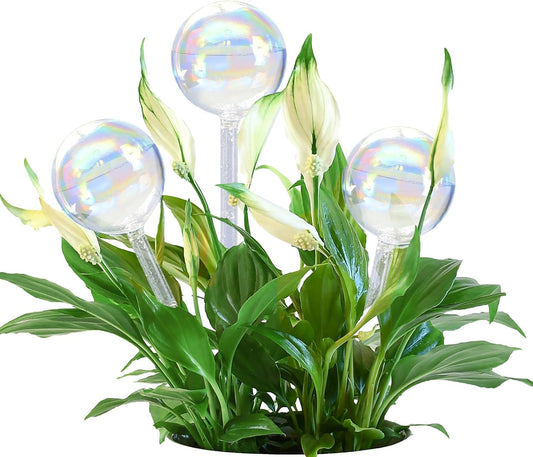 Large Plant Watering Globes, 3PCS Iridescent Rainbow Gradient Color Clear Glass Bulbs Self Watering Spikes Planter Insert, Automatic Plant Waterer Bulbs Devices for All Plants, 9" L * 2.75" D