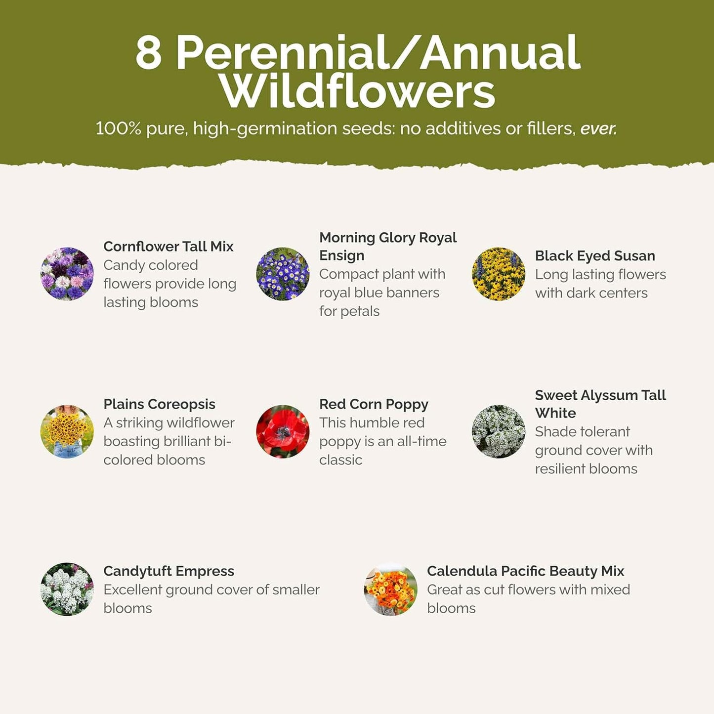 Eden Brothers Flowery Fields Forever Flower Mixed Seeds for Planting, 5 lb, 2,400,000+ Seeds with Cornflower, Candytuft | Attracts Pollinators, Plant in Spring or Fall, Zones 3, 4, 5, 6, 7, 8, 9, 10