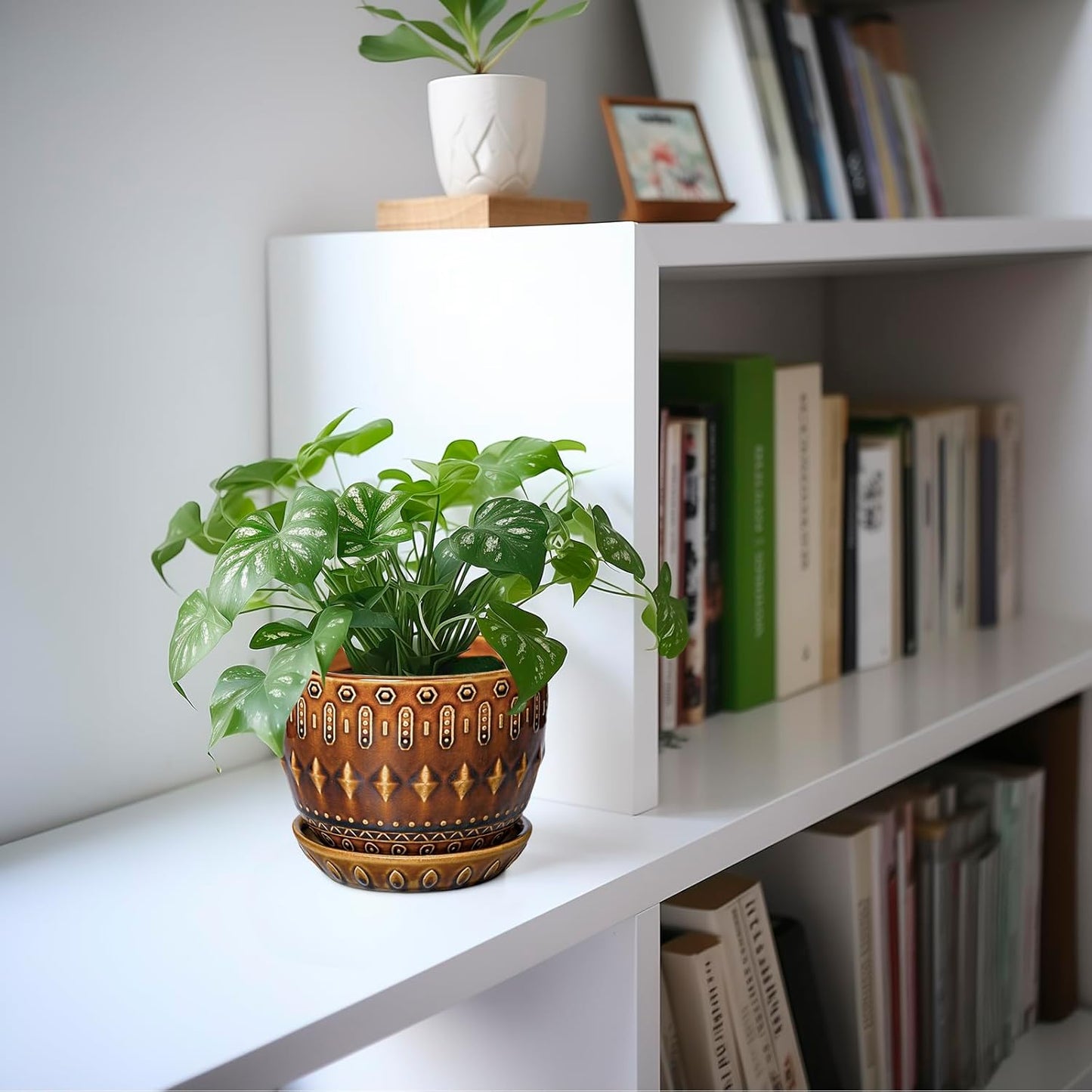 G EPGardening 5.5 Inch Plant Pot - Ceramic Planter for Indoor Outdoor Plants, Boho Round Indoor Flower Pot with Drainage Hole and Saucer, Housewarming Gifts, Garden Home Room Decor, Brown