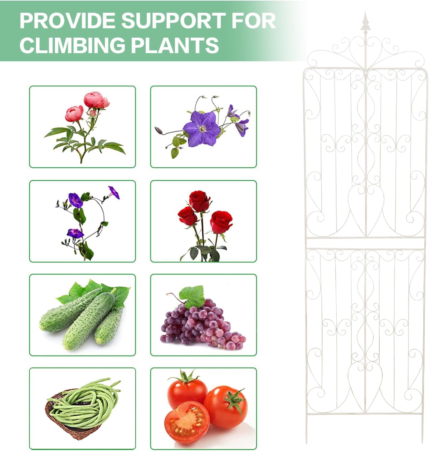 Sungmor 2 Pack Large Garden Trellis for Climbing Plants, 92.5 Inch Tall Rustic White Garden Metal Trellis, Decorative Trellis for Outdoor Rose Vines Cucumbers Support, Greenhouse, Flowerbed, Backyard