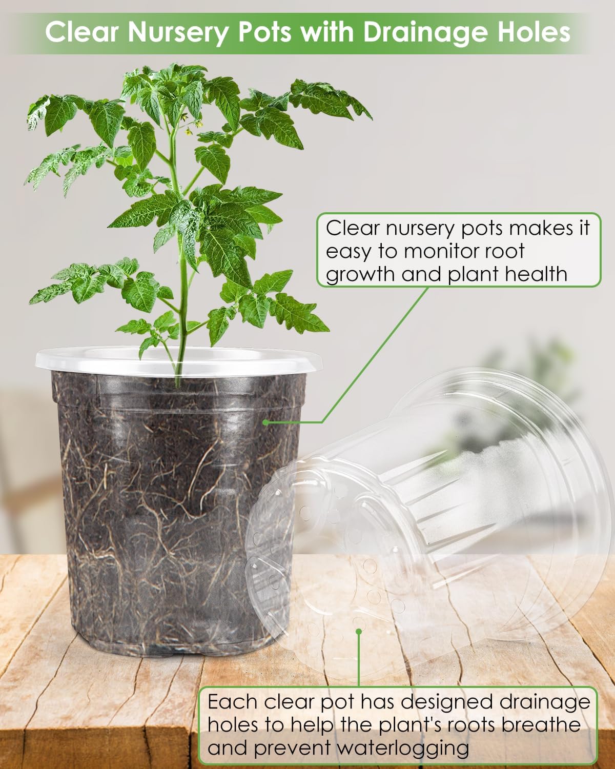 PACETAP 40Pack 6.5/5/4/3.5 Inch Reinforced Clear Nursery Pots with Drainage Holes, Variety Pack Thickened Plastic Plant Pots with 20 Plant Labels for Indoor Outdoor Flower Seed Starter