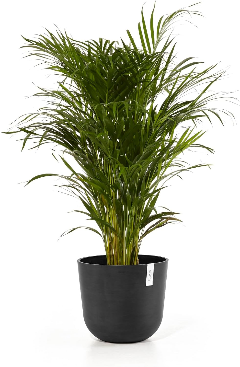 Ecopots Oslo Durable Modern Round Indoor/Outdoor Recycled-Based Composite Flower Pot Planter, Dark Grey, 14"