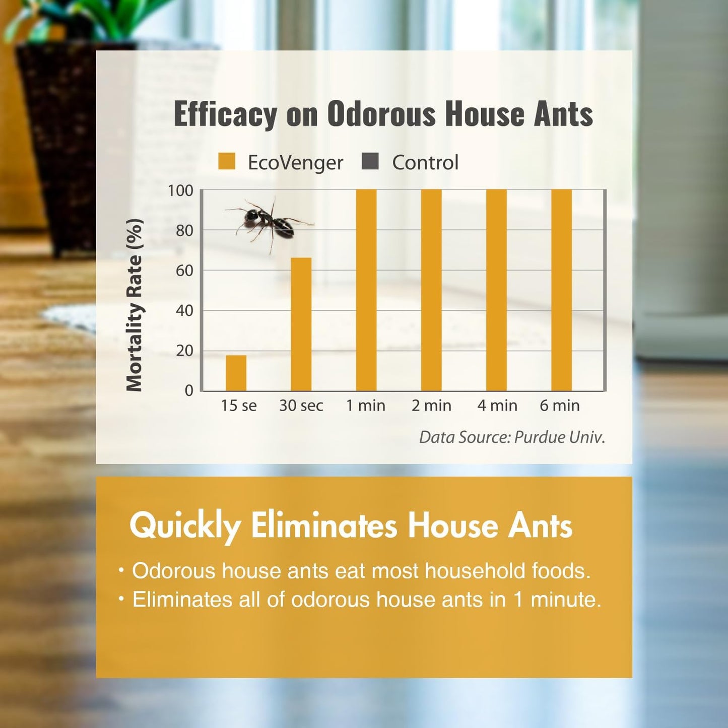 EcoRaider Ant & Crawling Insect Killer (34 OZ), 100% Fast Kills, Also Kills Fire Ants. Lasting Repellency, Safe for Children & Pets