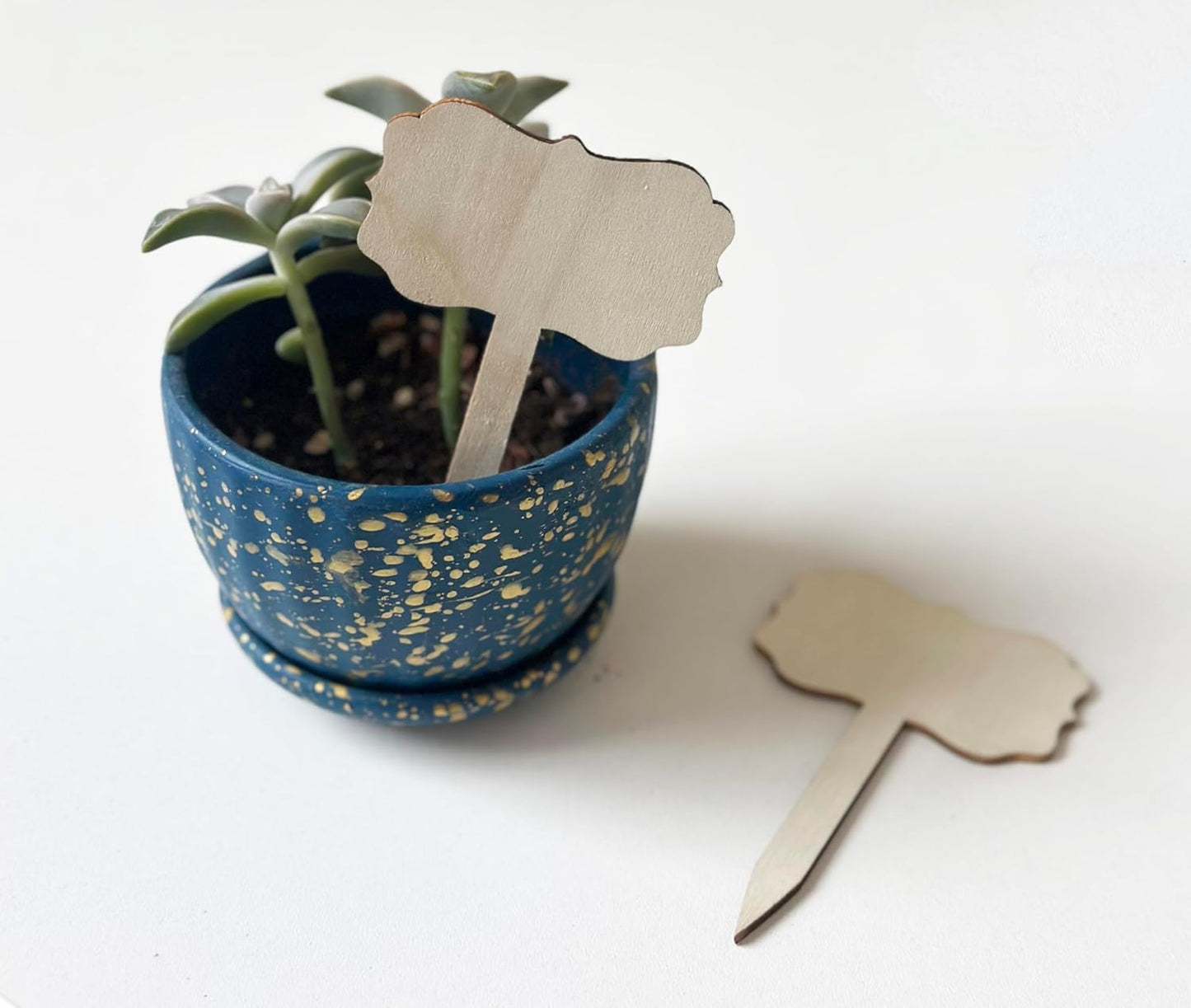 100 Pcs Wood Plant Labels, Natural Wooden Plant Marker Garden Sign Tags, T-Type Garden Markers for Succulents, Herbs, Seedlings, Potted, Flowers, Vegetables (Polygon)