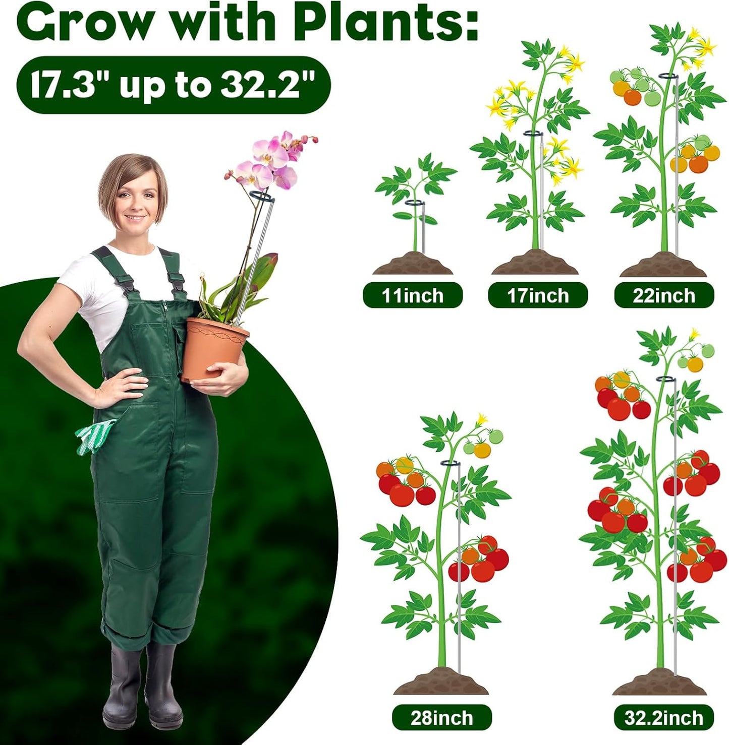 Extendable Monstera Plant Support Stakes, Made of Aluminum Alloy, Tomato Stakes Length Adjust from 17.3" to 32.2", Suitable for Indoor Outdoor Potted Amaryllis Vegetables Comes with 10 Ties-3Pack