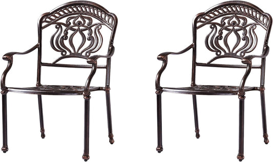 Outdoor Dining Chair Cast Aluminum Patio Chairs Set of 2 All-Weather Patio Dining Chair with Adjustable Feet for Backyard Garden (Barbecue Chair)