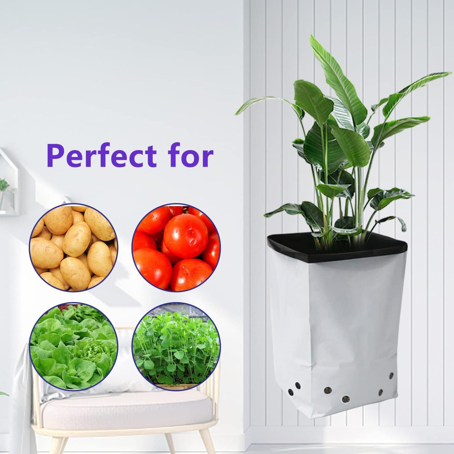 HFS(R Poly Grow Bag Planters Panda Film Black and White for Nursery Horticulture 3 Gallon - 50 PC