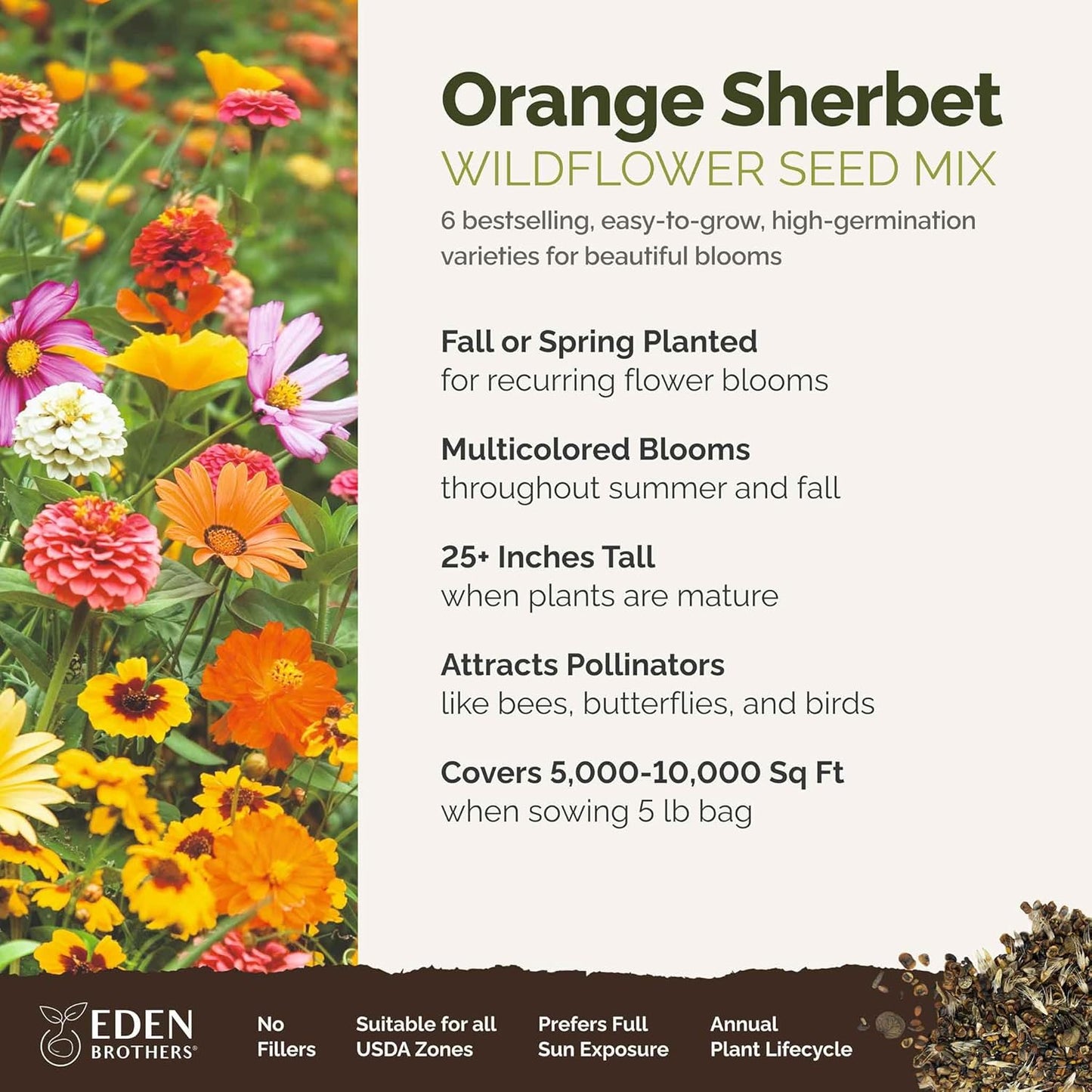 Eden Brothers Orange Sherbet Flower Mixed Seeds for Planting, 5 lb, 2,400,000+ Seeds with Cosmos Picotee, Bright Lights | Attracts Pollinators, Plant in Spring or Fall, Zones 3, 4, 5, 6, 7, 8, 9, 10