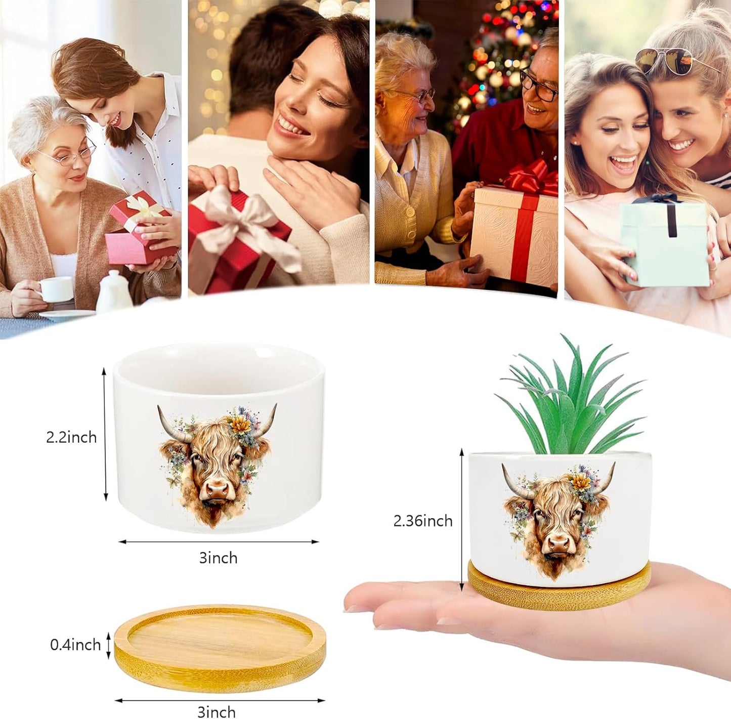 Highland Cow Succulent Pots 3 Pack, 3 Inch Succulent Planters with Drainage and Bamboo Tray, Highland Cow Gifts for Women, Ceramic Small Pots for Baby Plants, Cactus, Herbs- Plants Not Included