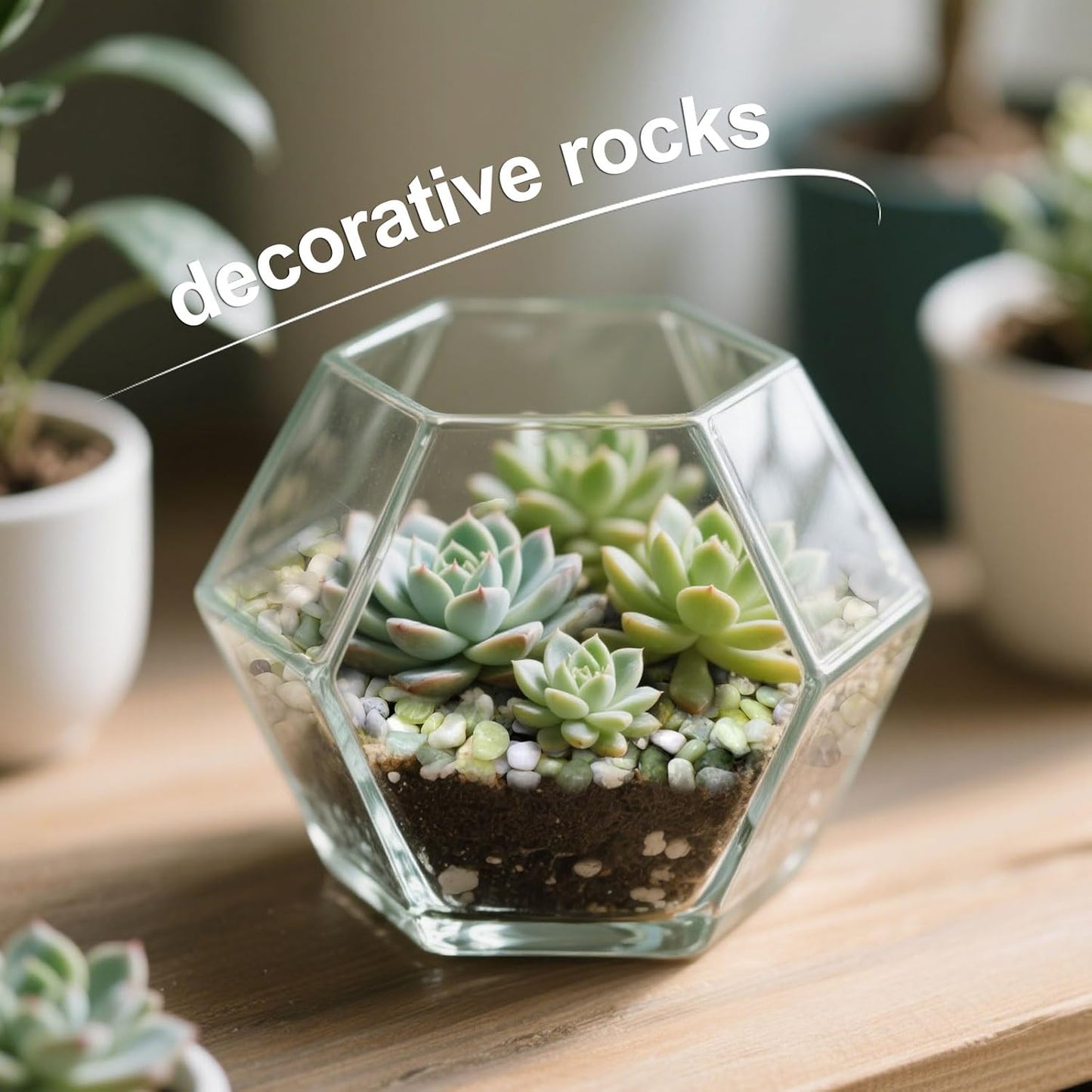 Calofulston 30 lb Decorative Pebbles for Indoor Plants, 3/8 Inch Pebbles for Succulents, Lucky Bamboo Plants, Vase, Cactus, Landscaping, Polished Jade Rocks for Plants Indoor, Green