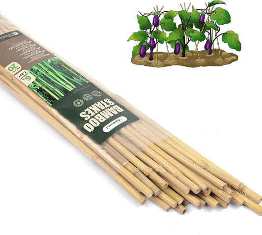 6ft Bamboo Garden Stakes Eco-Friendly Plant Stakes 6 Feet, Bamboo Poles for Tomatoes Beans Climbing Plants Support - Pack of 20 Bamboo Stakes Natural