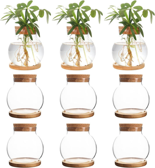 Plant Propagation Station,Hydroponic Glass Container Vase Jars, with Wooden Saucer for Desks, Houses, Garden Decorations, Home Kitchen Decorations and Gifts for Plant Lovers (9)