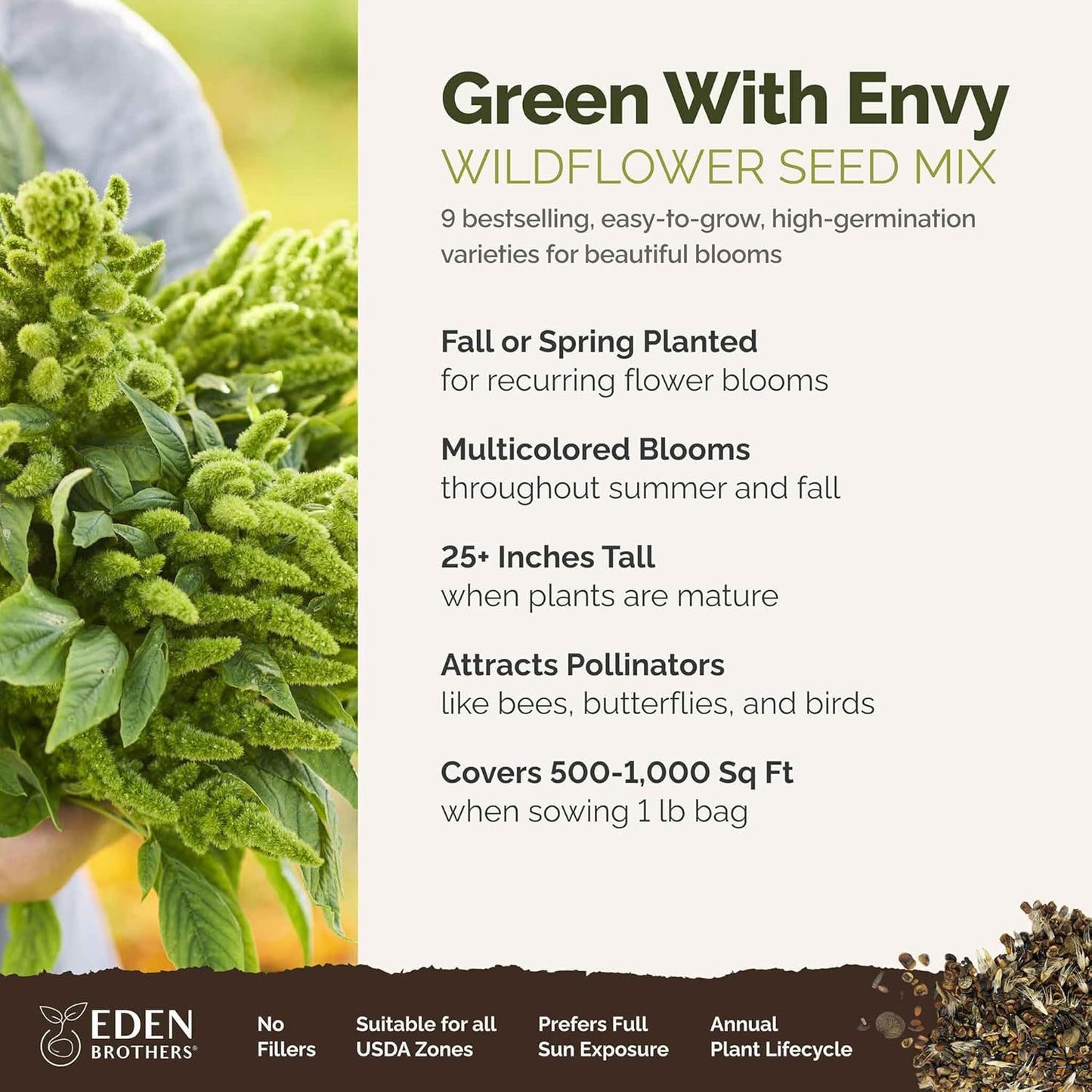 Eden Brothers Green with Envy Flower Mixed Seeds for Planting, 1 lb, 480,000+ Seeds with White Yarrow, Cornflower White | Attracts Pollinators, Plant in Spring or Fall, Zones 3, 4, 5, 6, 7, 8, 9, 10