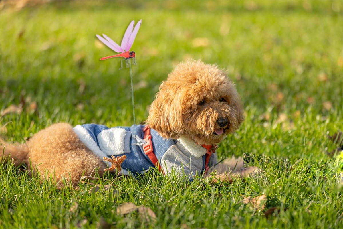 Spiritlele 8 PCS Fake Dragonfly Clip Colorful Hat Clip 3D Dragonfly Garden Decor for Patio Outdoor Indoor