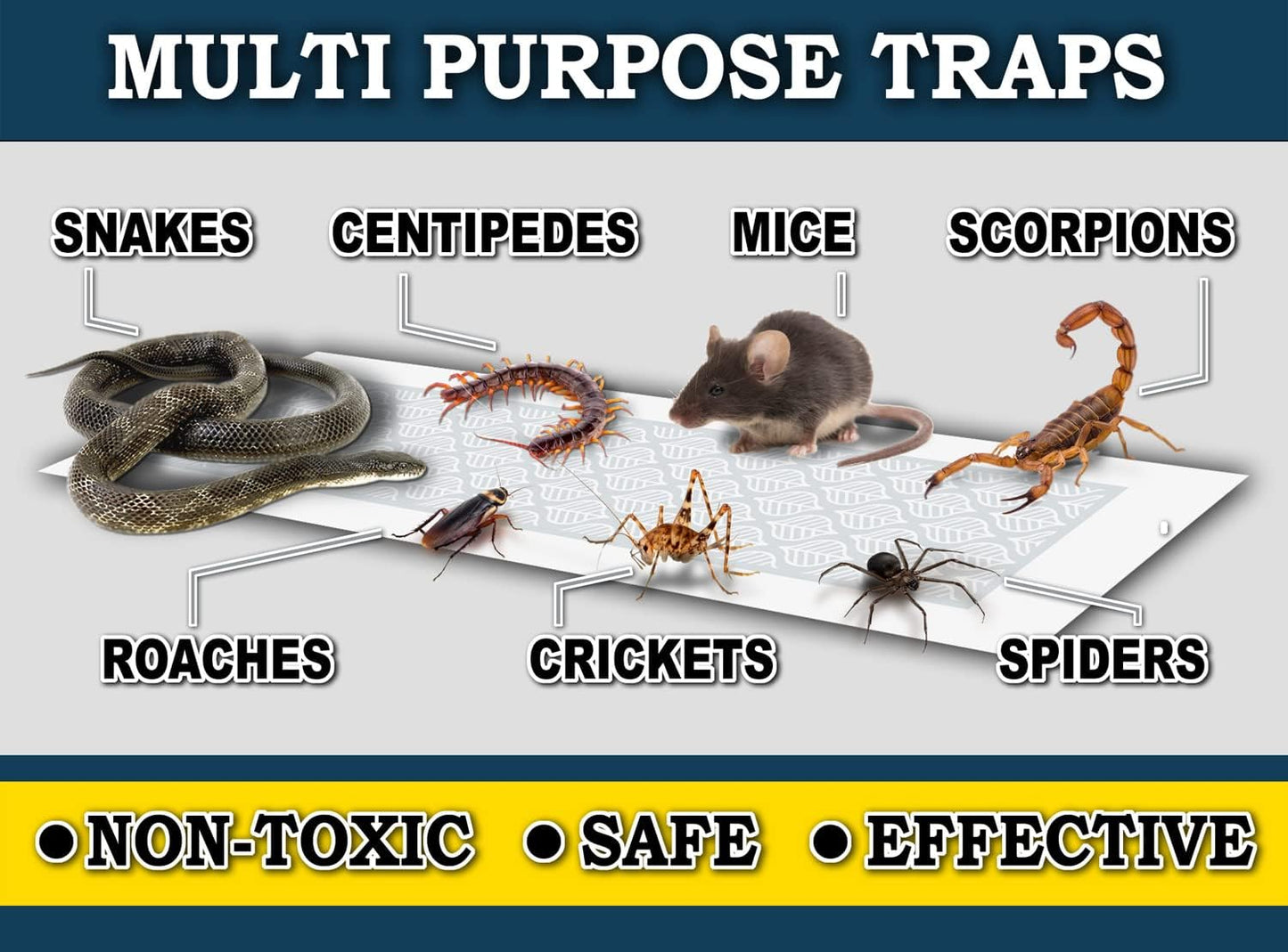 MaxGuard Glue Trap Strips (24 Traps) Non-Toxic Extra Sticky Glue Board Pre-Baited with Fruity Scent Attractant Trap & Kill Insects, Bugs, Spiders, Crickets, Scorpions, Cockroaches, Centipedes, Mice