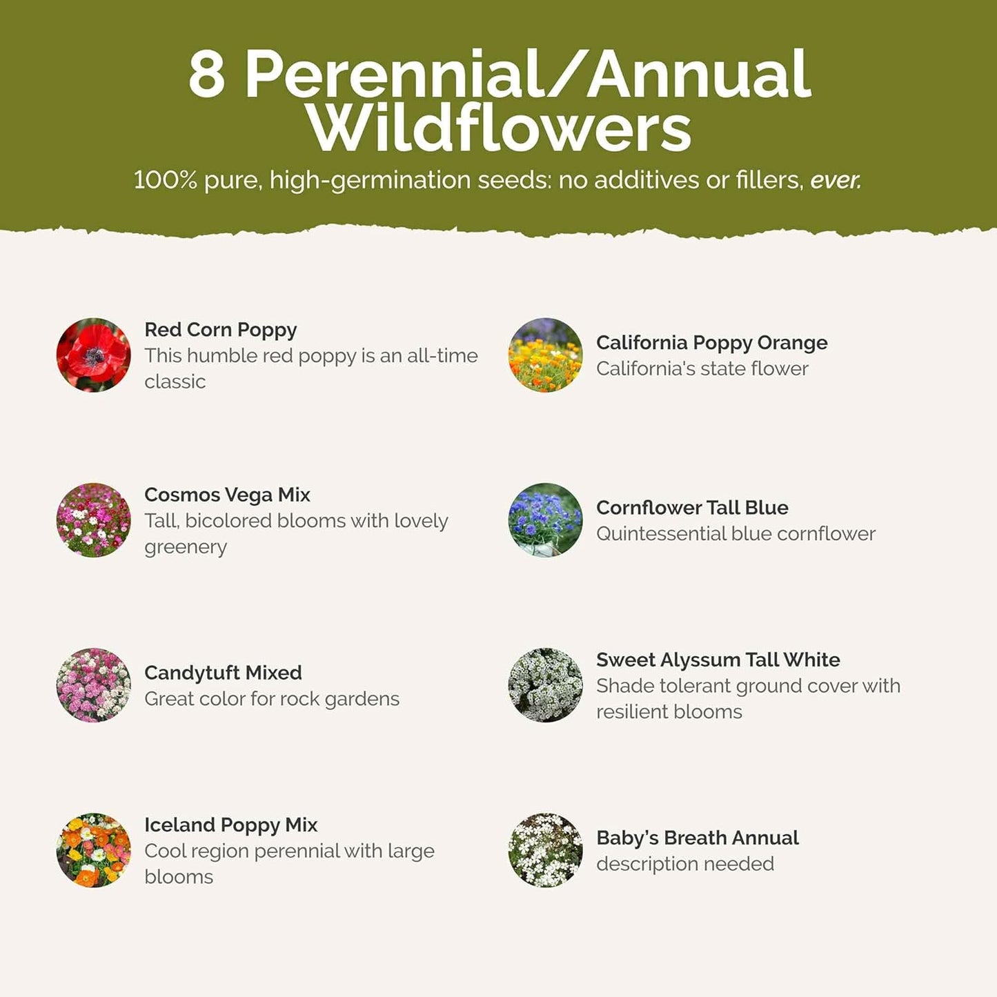 Eden Brothers Rugged Beauty Flower Mixed Seeds for Planting, 1/4 lb, 120,000+ Seeds with Cornflower Tall Blue, Candytuft | Attracts Pollinators, Plant in Spring or Fall, Zones 3, 4, 5, 6, 7, 8, 9, 10