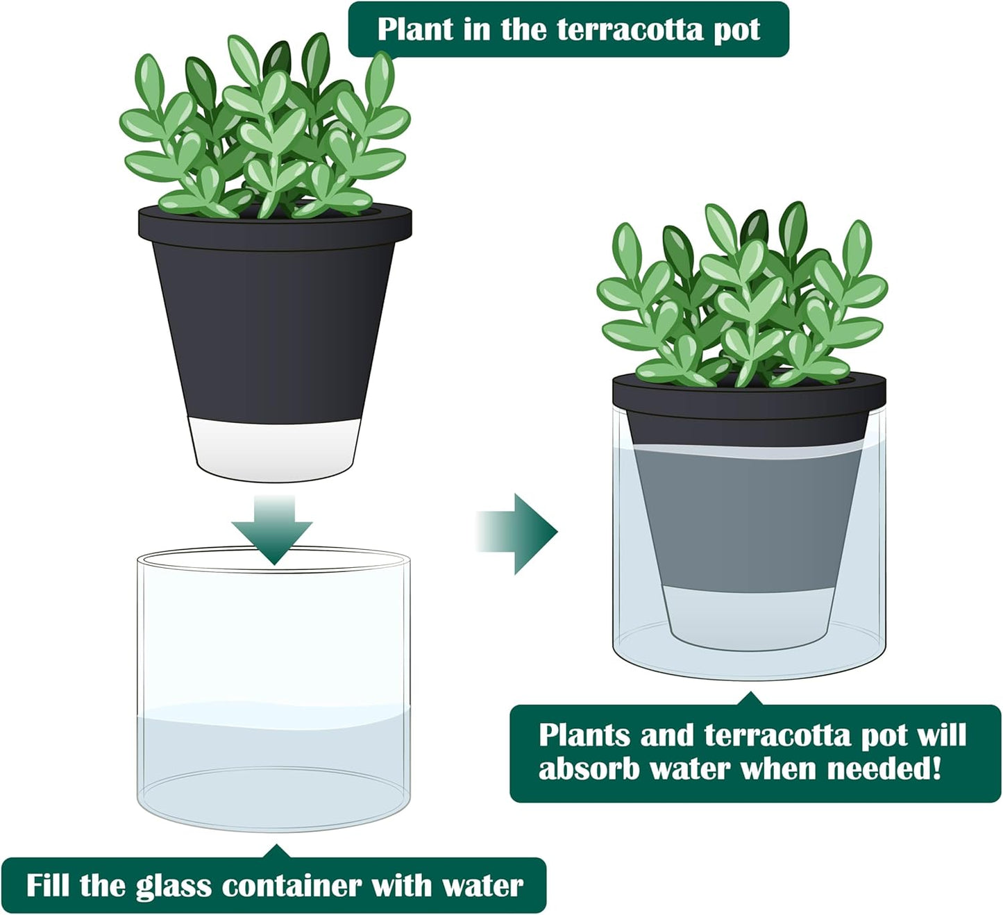 D'vine Dev 4 Inch Design Self Watering Planter for Indoor Plants, Black Terracotta Pot with Cylinder Glass Cup, Set of 3, 37-Z-A-3-T