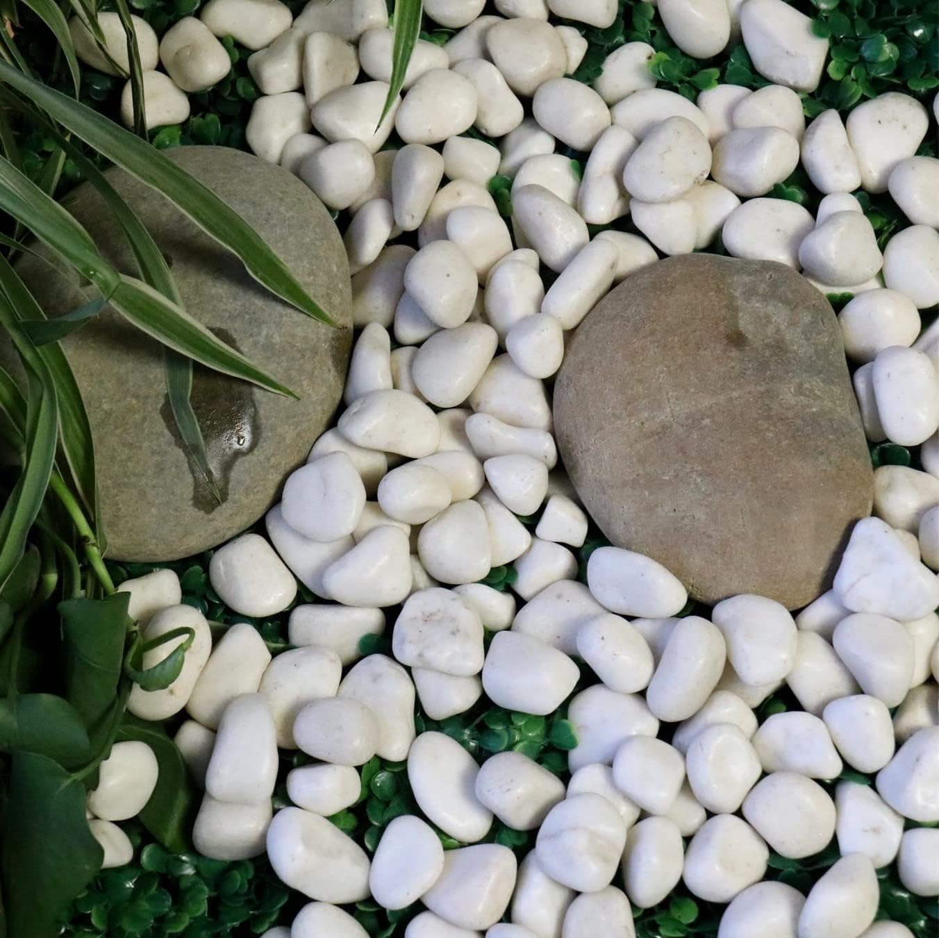 White Rocks for Plants. White Decorative Polished Pebbles. 1 to 2 Inch – 10lbs for Plants, Garden, Succulents, pots, Plants (MD (1 to 2 Inch), White - Lightly Polished, 10)