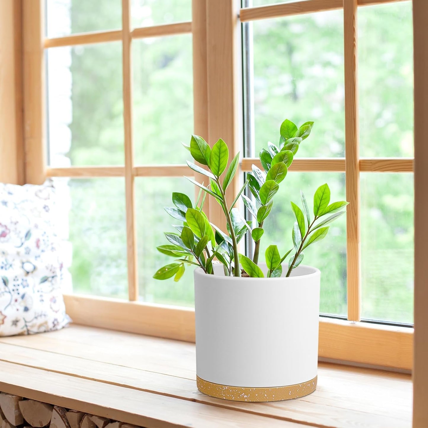 8 Inch Cylinder Flower Pots for Indoor Outdoor Plants, Medium Deep Plant Pots with Drainage Holes & Saucer, Decorative Plastic Planter Pots for Garden House Plants, White with Brown