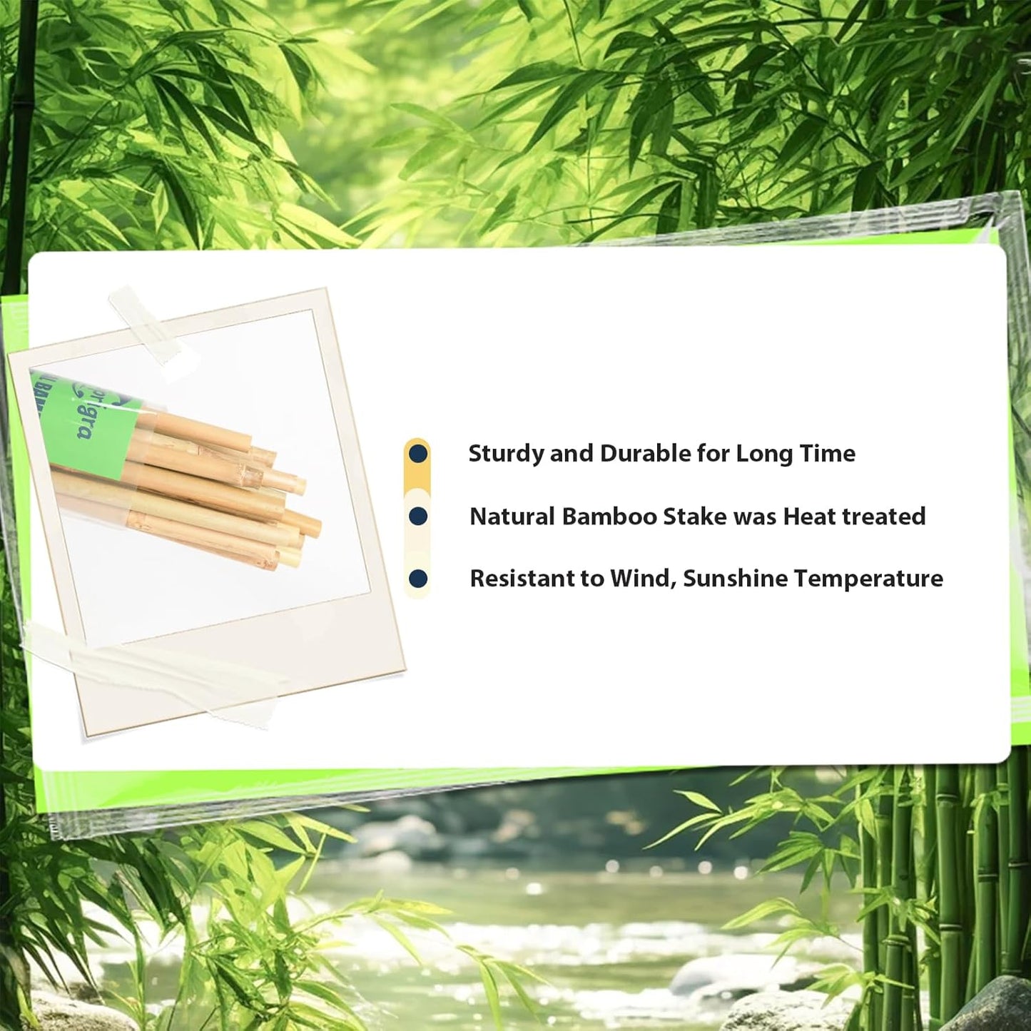 Bamboo Stakes 6 Feet 20pcs, 72" Garden Stakes Multi-Purpose, Bamboo Plant Support Stakes for Tomatoes, Beans, Cucumbers, Peppers, Potted Trees, Maintain The Plant Posture, Strengthen and Stem