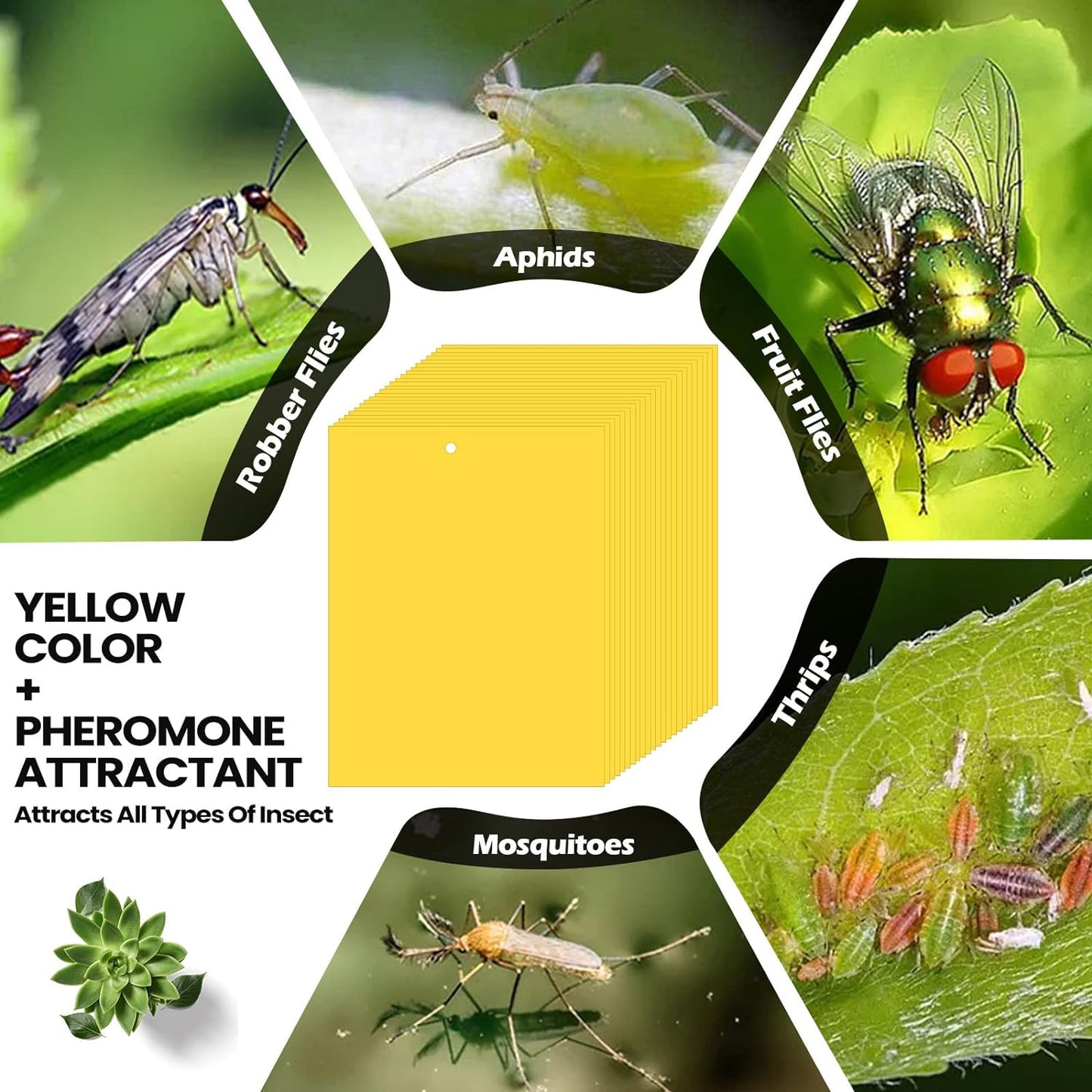 Qualirey 700 Pcs 6 x 8 Inch Yellow Sticky Traps for Plant Double Sided Sticky Trap for Gnats with Twist Ties Sticky Fly Traps for Fruit Insect Fungus Bugs Indoor Outdoor