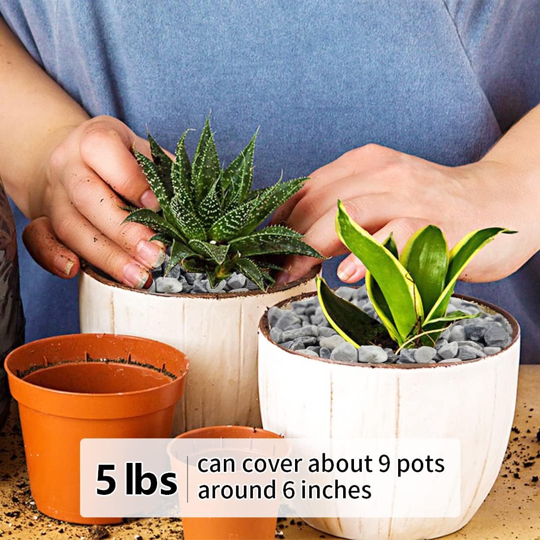 5LB Succulent and Cactus Gravel Pebbles, 1/5 Inch Natural Decorative Polished Stones, River Rocks for Plants, Vases, Aquariums, Terrarium and Outdoor Gardening,Grey