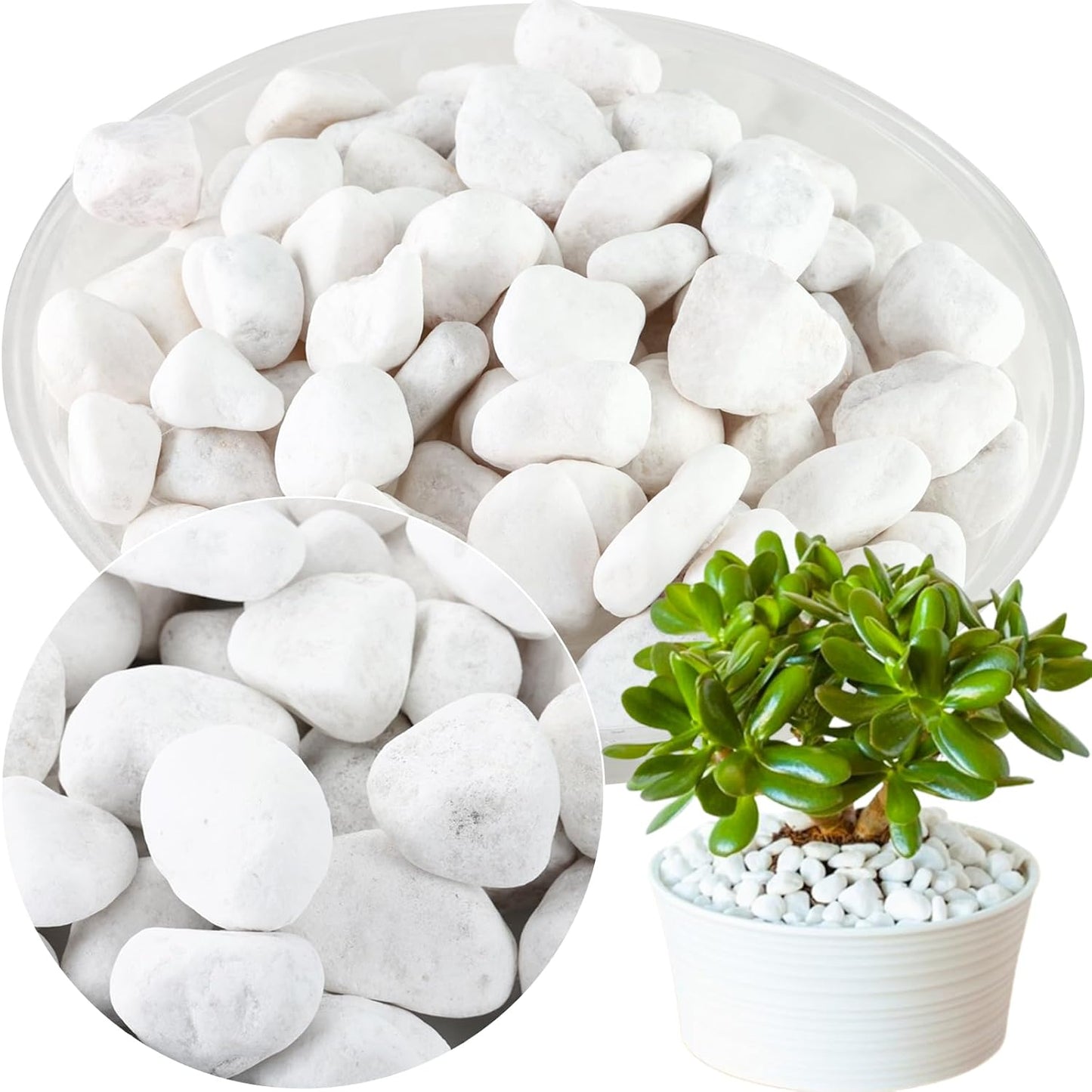 11Lbs Natural River Rocks for Plants 1''-2'' Large Landscaping Garden Stones White Aquarium Gravel for Decorative Pebbles for Indoor Outdoor Planters, Big Terrarium Rocks in Bulk, Home Decor