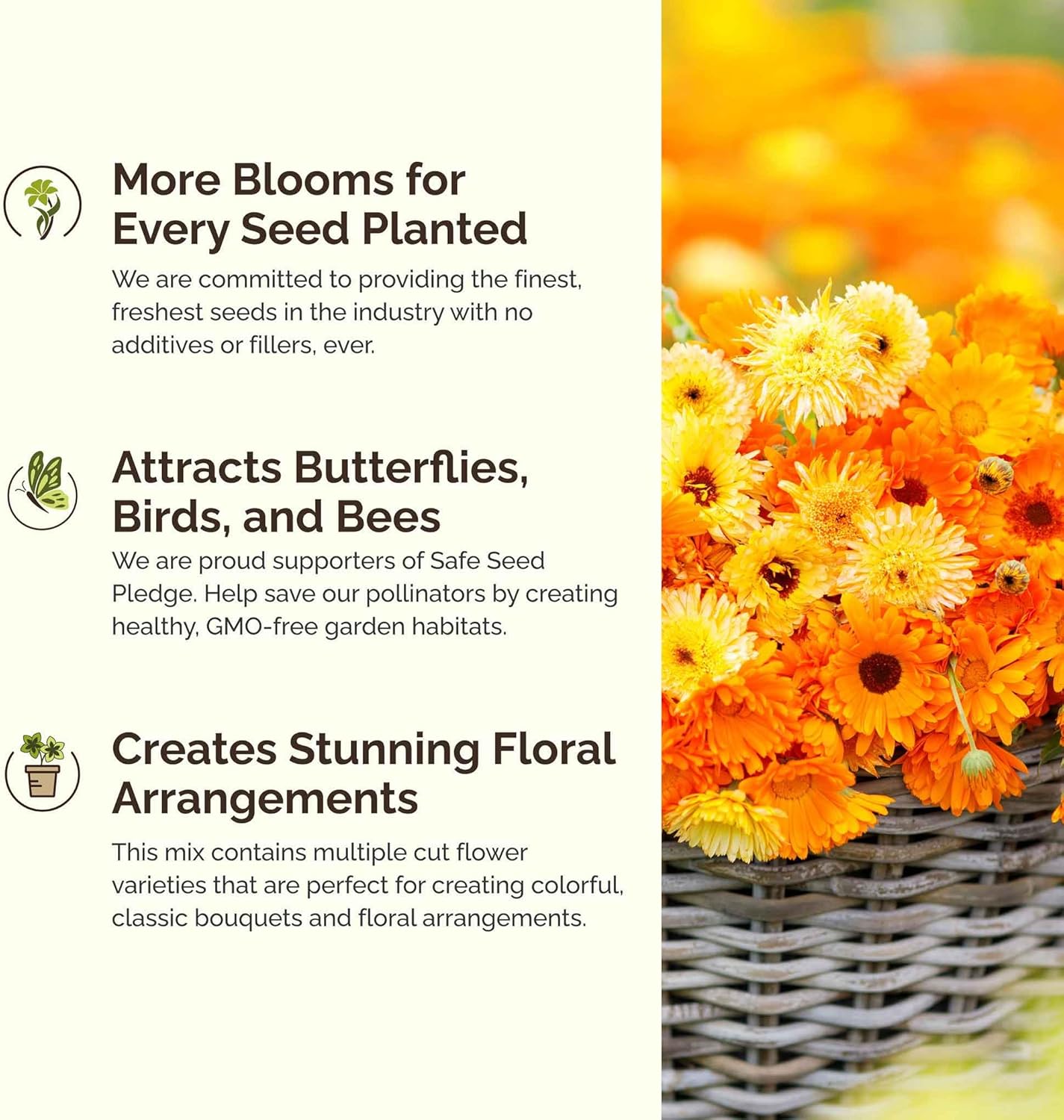 Eden Brothers Shorty Low Grow Wildflower Mixed Seeds for Planting, 5 lb, 2,400,000+ Seeds with Calendula, Cornflower | Attracts Pollinators, Plant in Spring or Fall, Zones 3, 4, 5, 6, 7, 8, 9, 10