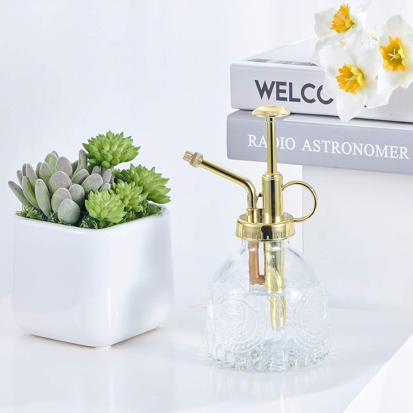 Glass Plant Mister Spray Bottle, Vintage Succulent Water Sprayer with Golden Top Pump, Small Sprayer Mister for Indoor Outdoor House Plants - Clear