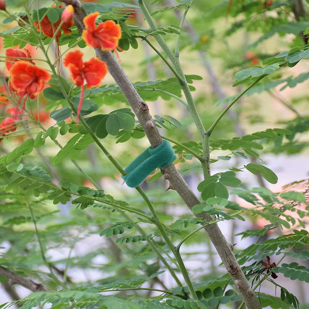 Hook＆Loop Garden Plant Cable Ties, Adjustable Garden Nylon Ties for Supporting Plant and Vines, Multi-Functional Ties(100 Pcs, 8 Inch, Green)