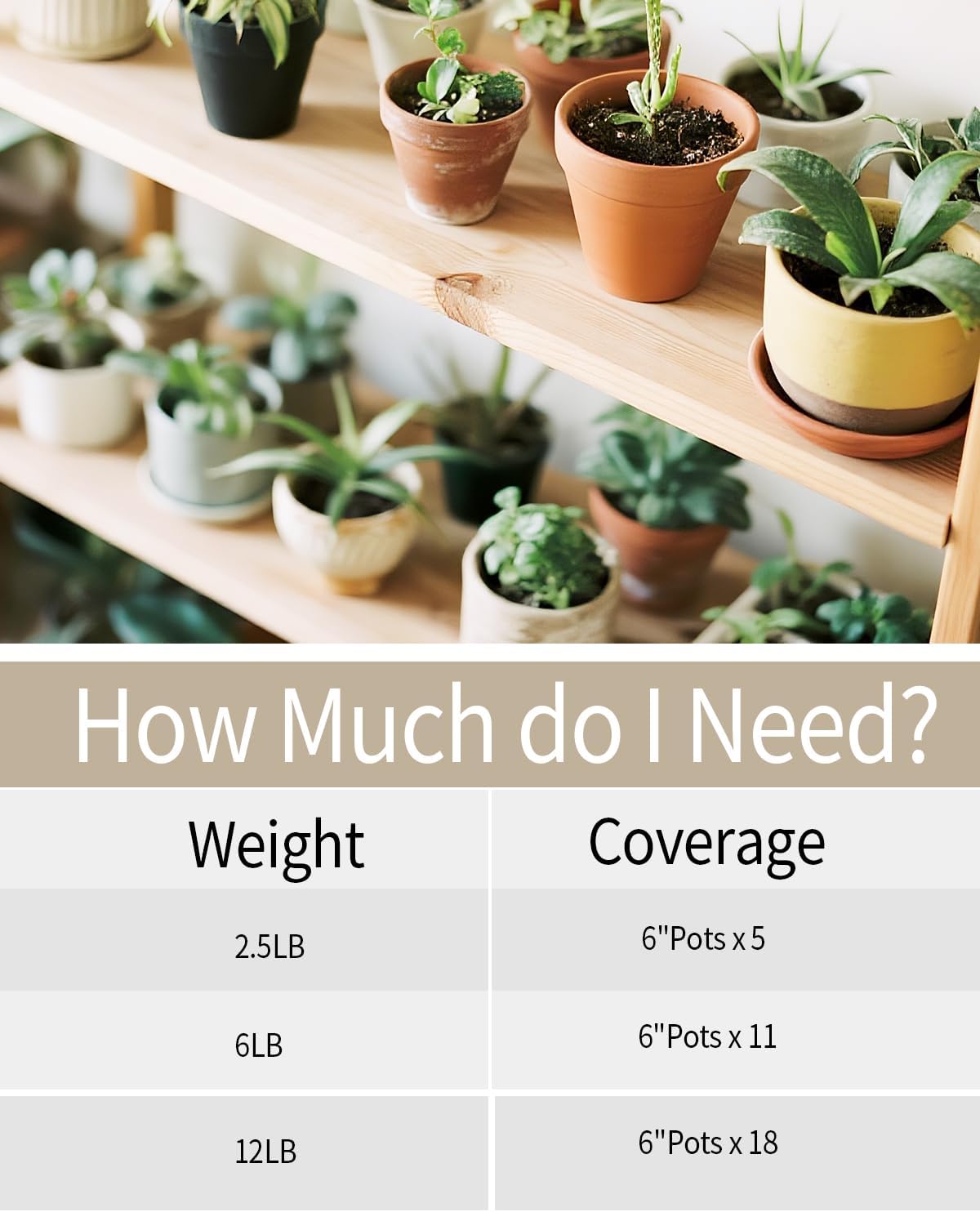 6lb Natural Polished River Rocks - 5/16-5/8 Inch Decorative Stones for Plants Garden Landscaping & Outdoor Decor Small Smooth Pebbles for Indoor/Outdoor