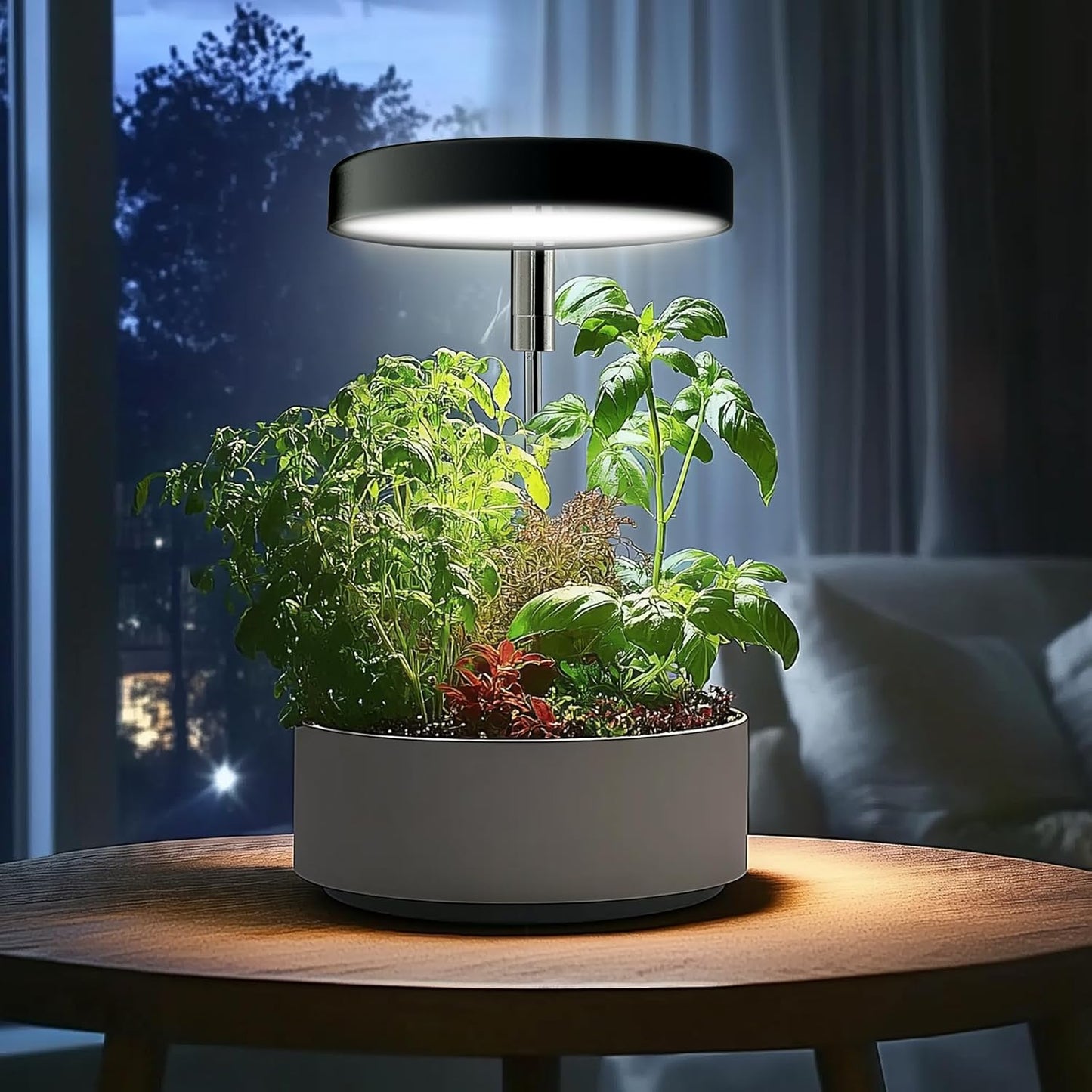 Grow Lights for Indoor Plants Small Potted - Full Spectrum, Auto 3/9/12H Timer, 10-Level Dimming & Adjustable Height - Compact Grow Light for Succulents, Herbs, Foliage in Home/Office (Black,1PACK)