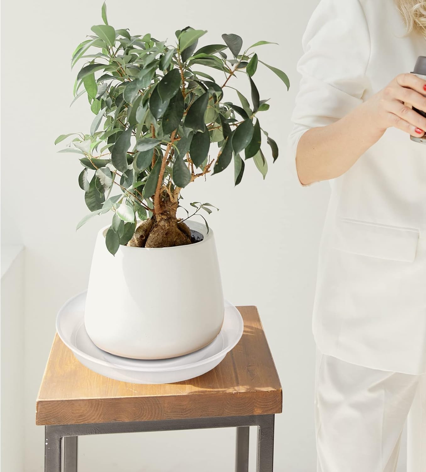 6 Pack Plastic Plant Saucer Water Drip Tray, 4 5 6 7 8 9 10 11 12 inch, Heavy Sturdy Plant Drainage Tray for Indoors Outdoor, Flower Saucers for Pots Base (4", Clear)