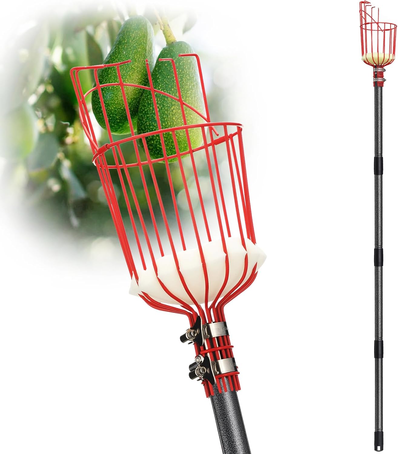 DonSail Fruit Picker Pole with Basket Telescoping, Citrus Orange Picker Pole with Basket 35-150 inch Long Handle, Mango Avocado Fig Acorn Pear Pomelo Chery Lemon Picker for Tree