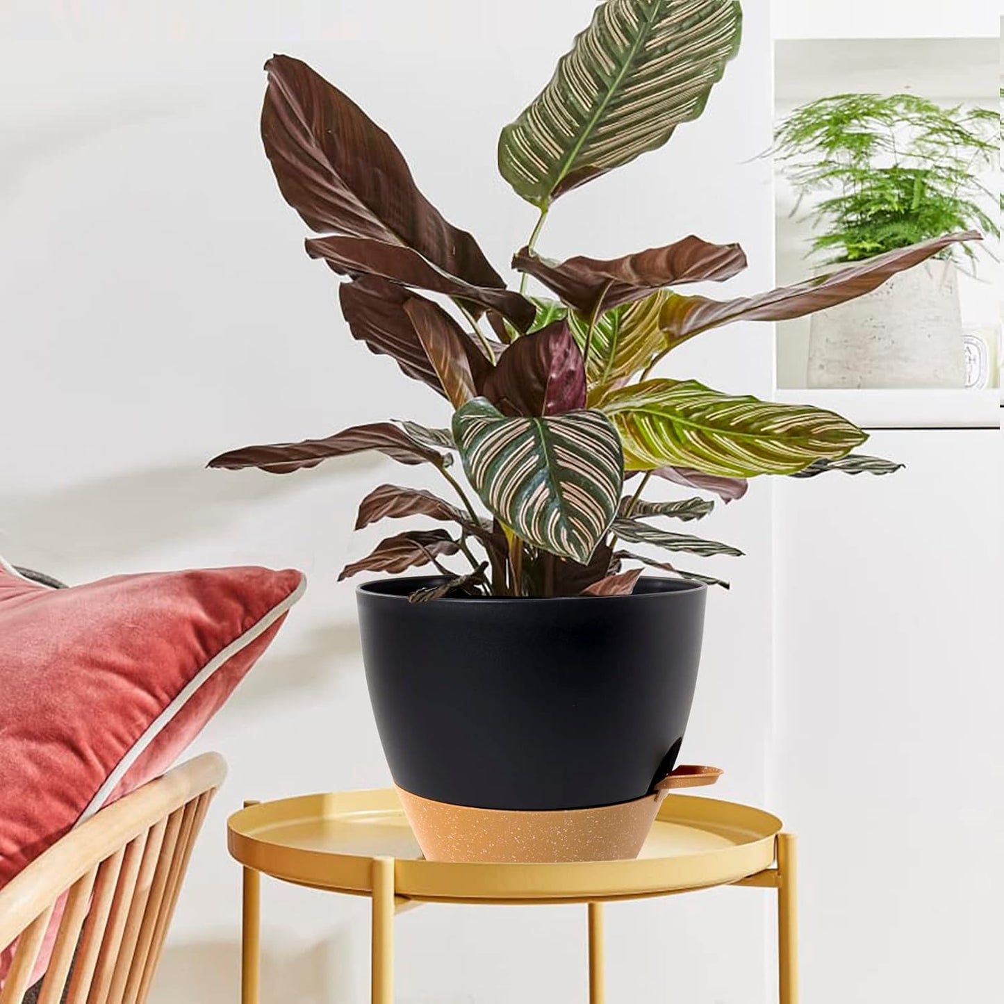 WOUSIWER 10 inch Self Watering Planters, 2 Pack Large Plastic Plant Pots with Deep Reservior and High Drainage Holes for Indoor Outdoor Plants and Flowers, Black with Terracotta