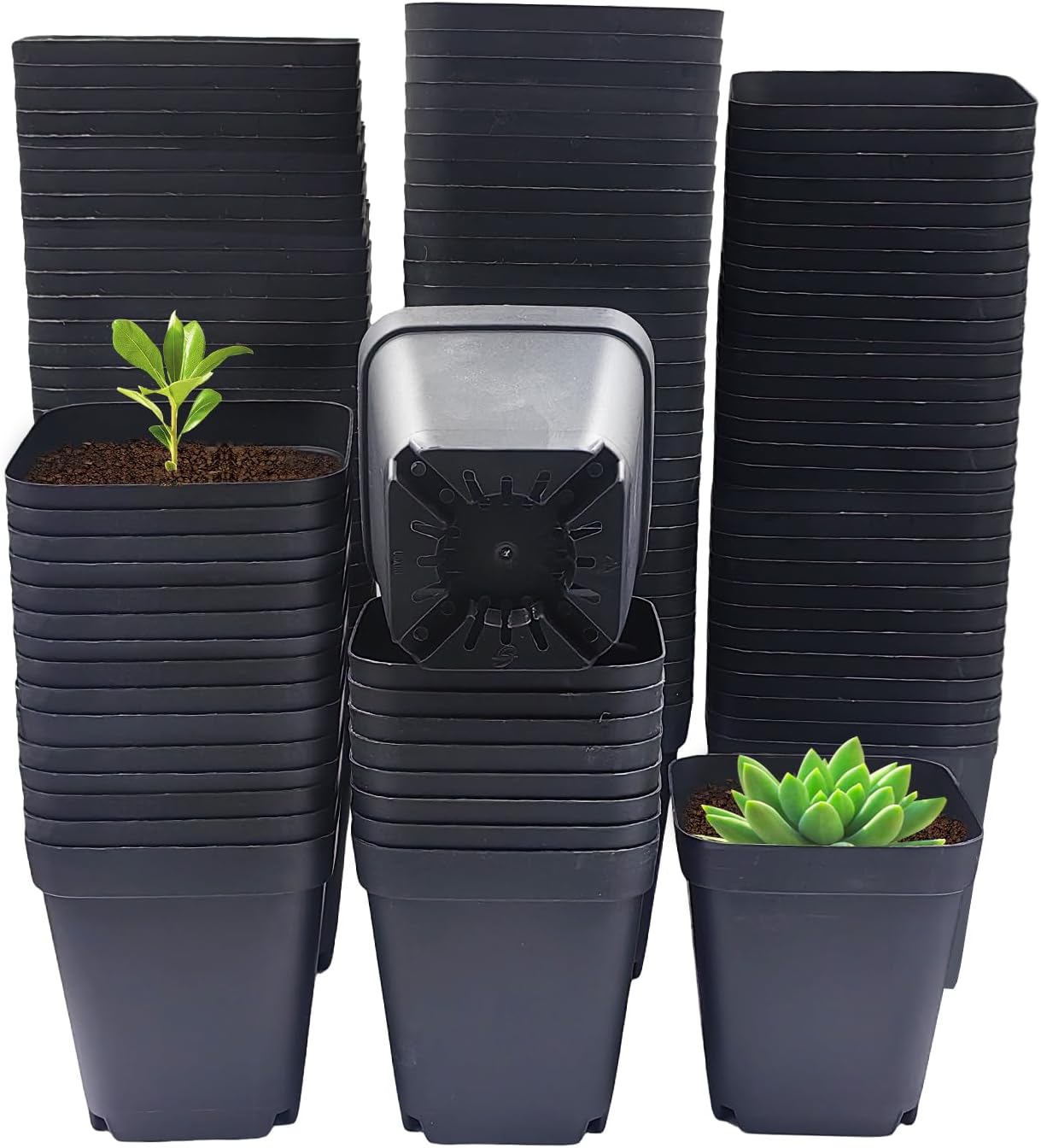 Square Nursery Pots 3" 120Pcs Deep Succulent Plastic Pots Small Flower Planter Seeds Starter Germination Pots with Drainage (Black,2.7Inches,120Pcs)