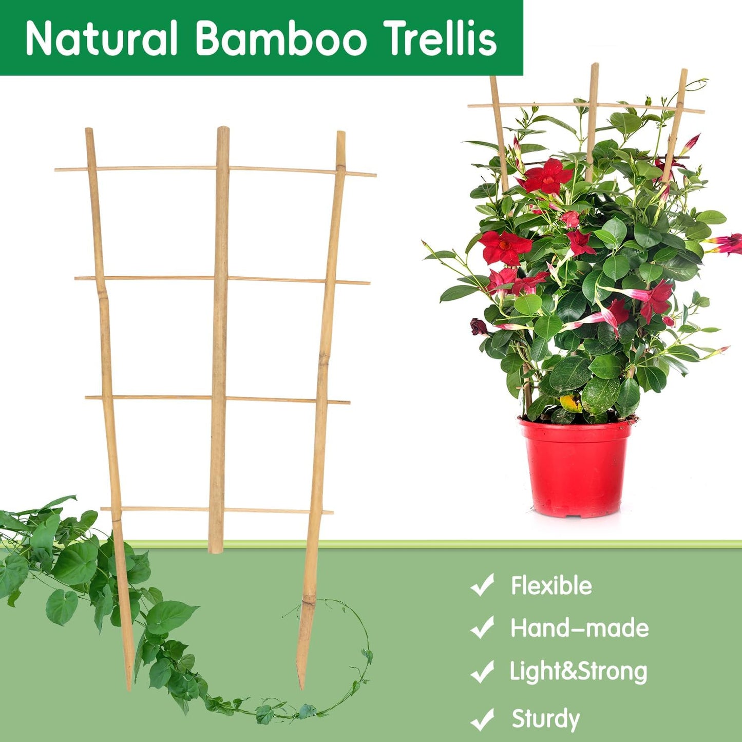 Garden Bamboo Trellis 16 Inch Fan Shaped Small Plant Trellis,Natural Wood Trellis for Climbing Plants Orchid Monstera Indoor Potted Plants-3 Pack