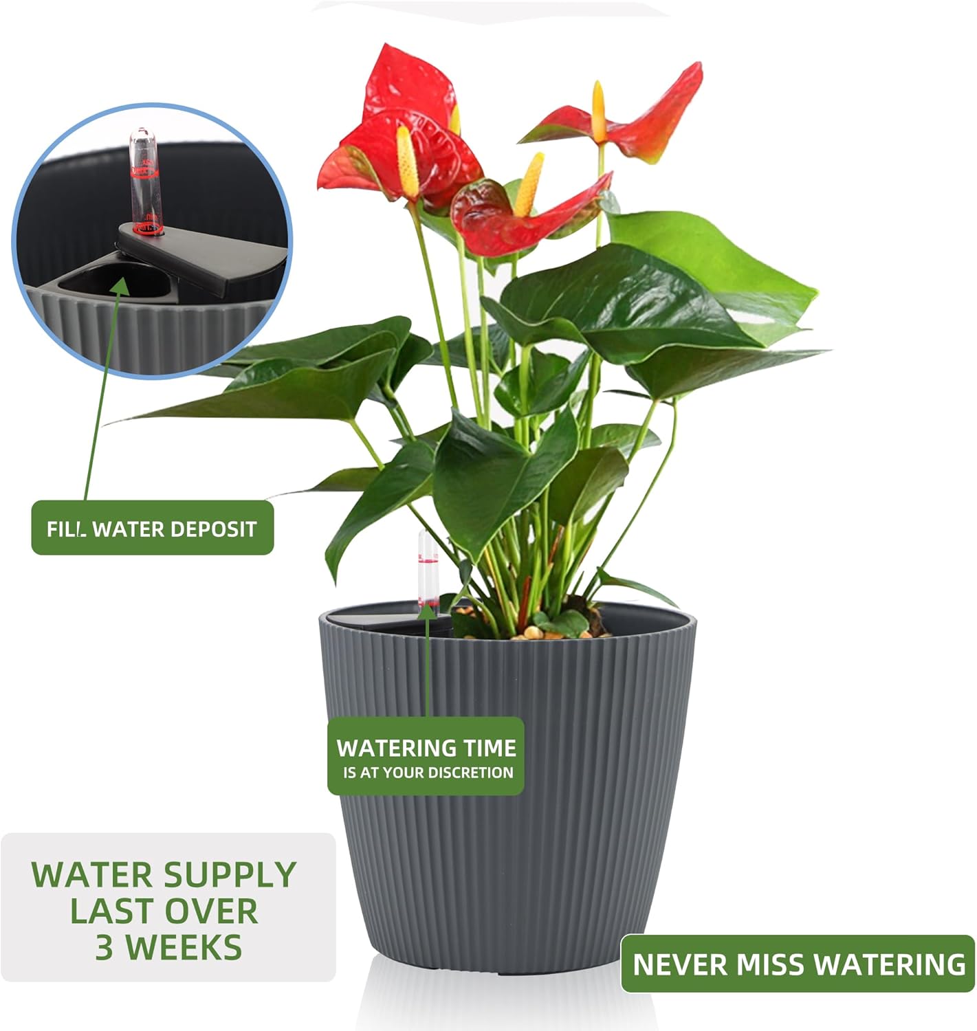 Dexceder 9x8 Self Watering Planters Indoor, Inner Mat Design, Table Flower Plant Pot with Water Level Indicator (2 Pack, Gray)